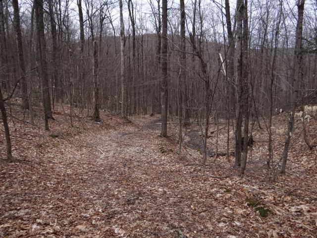 0 South Road Property Photo 19