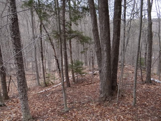 0 South Road Property Photo 24