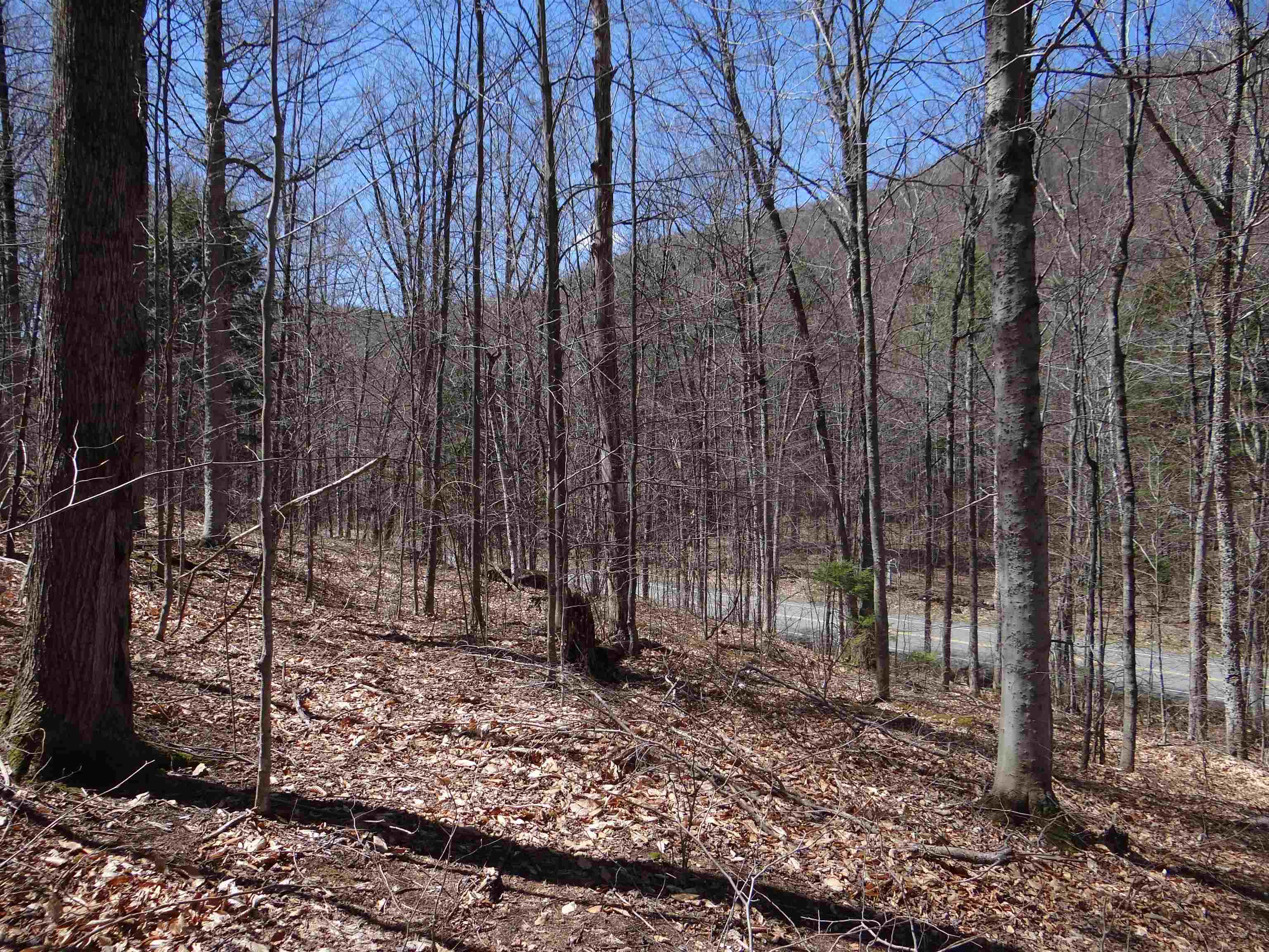 0 South Road Property Photo 26