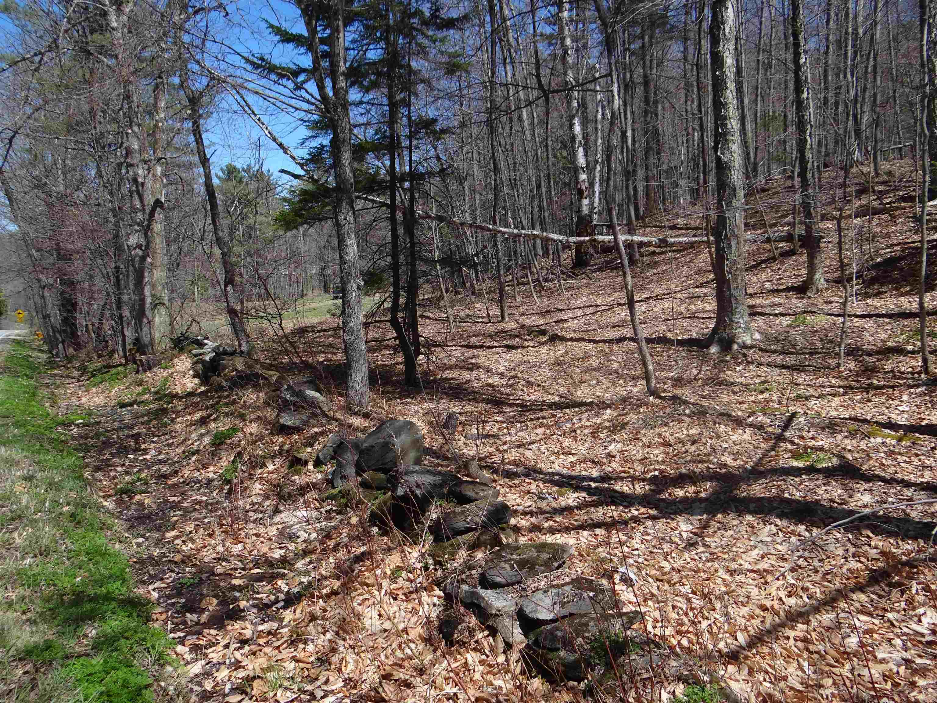 0 South Road Property Photo 29