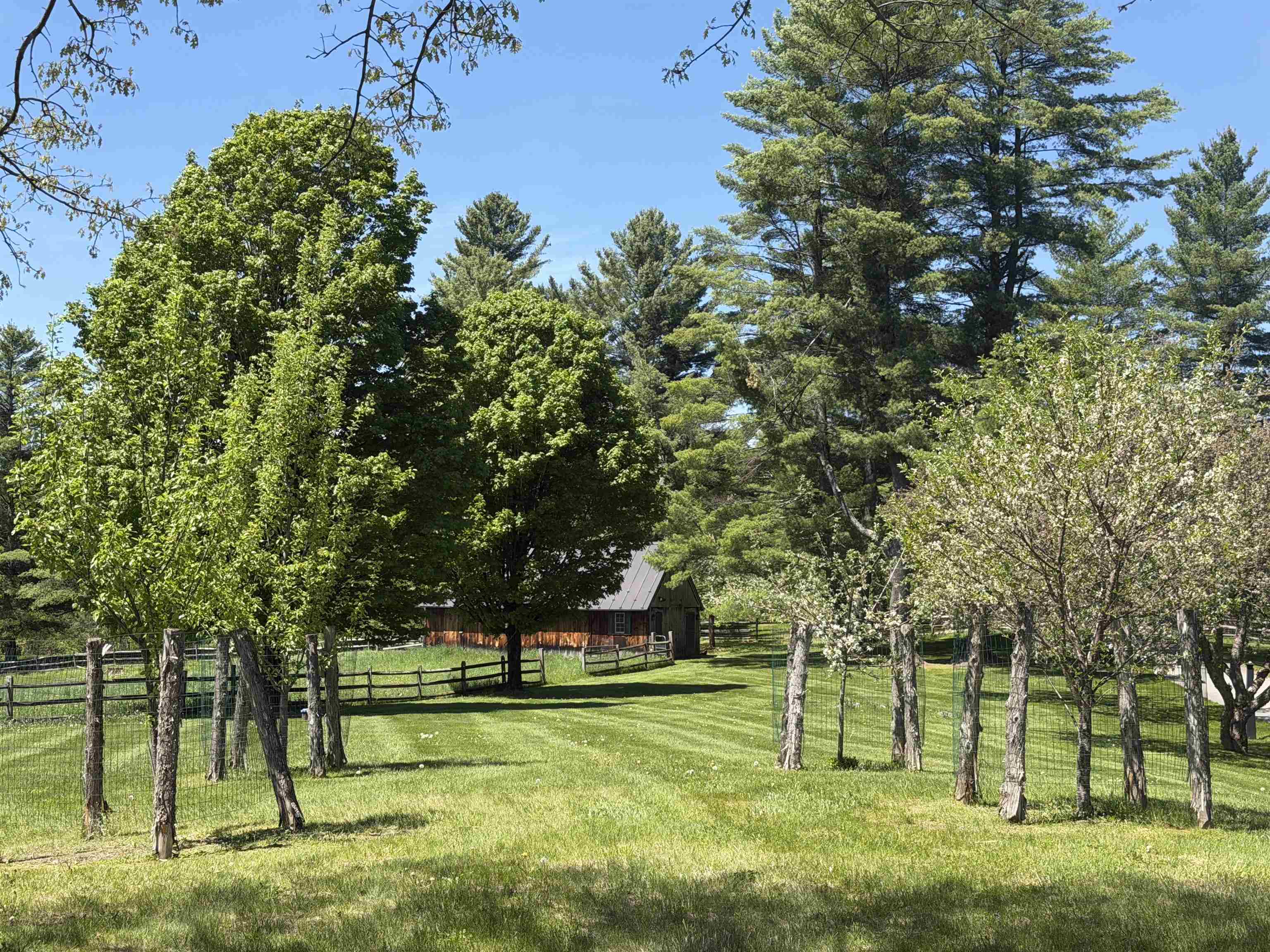 64 Needle Leaf Lane Property Photo 44