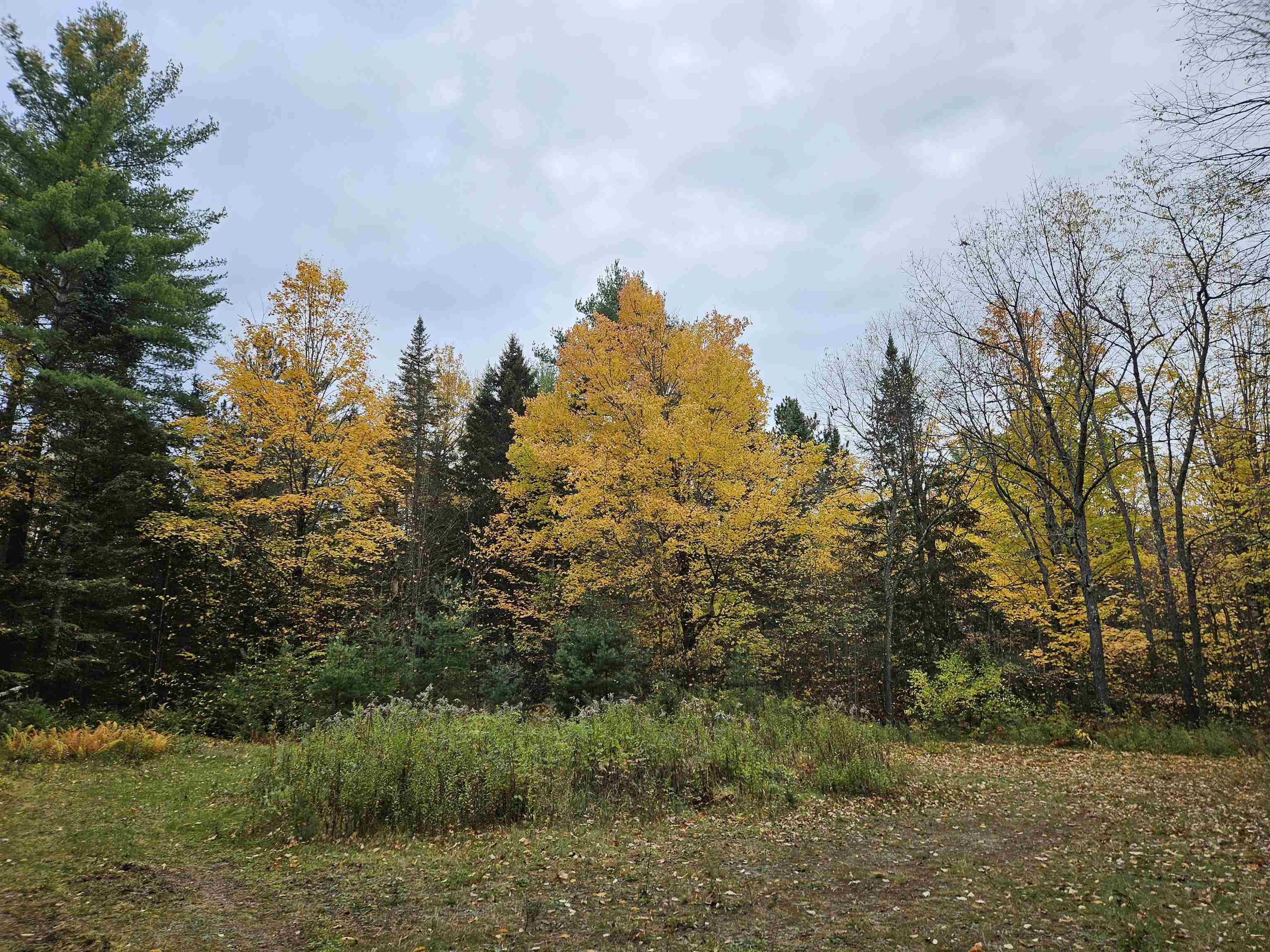 1476 Profile Road Property Photo 1