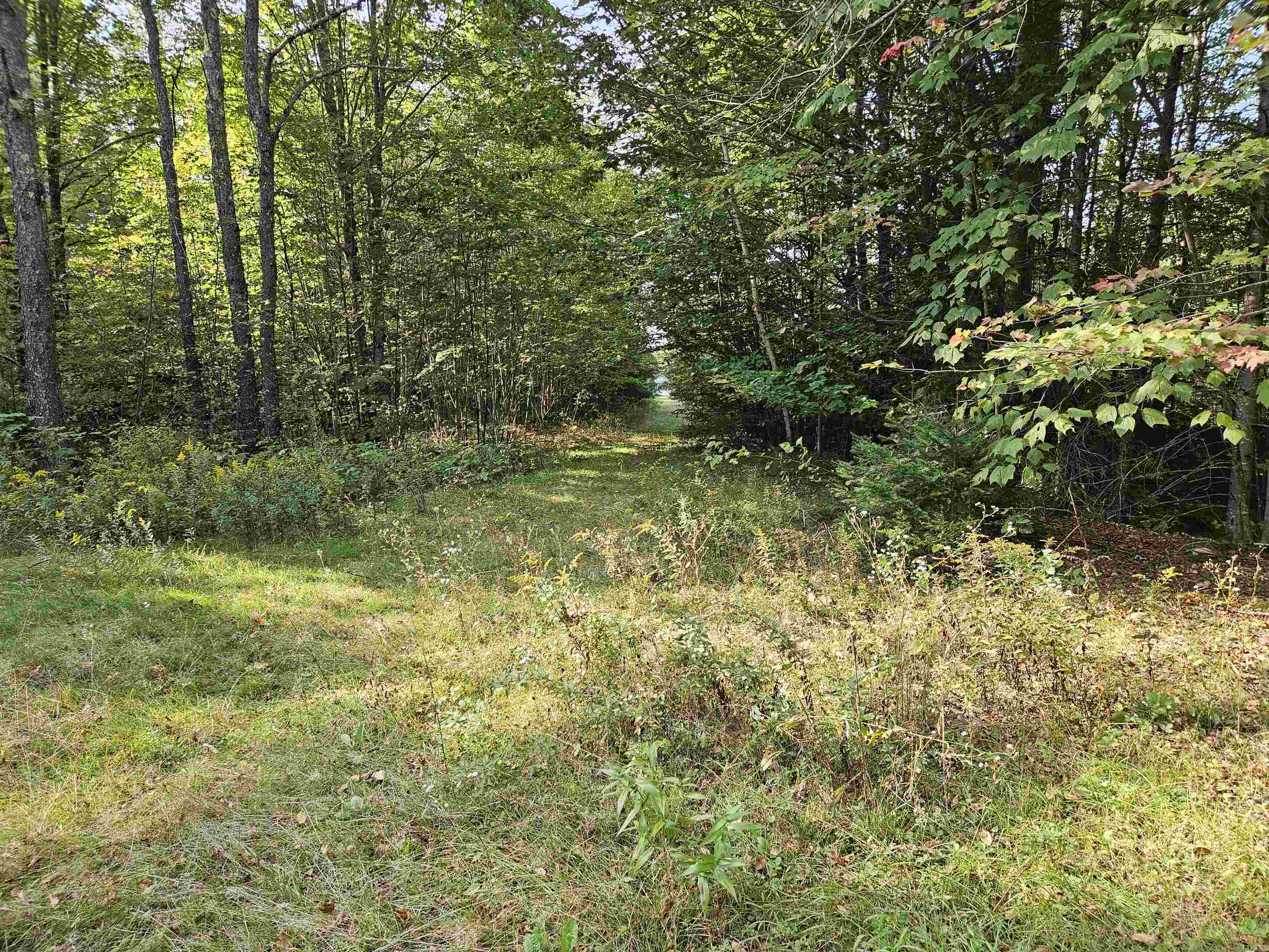 1476 Profile Road Property Photo 3