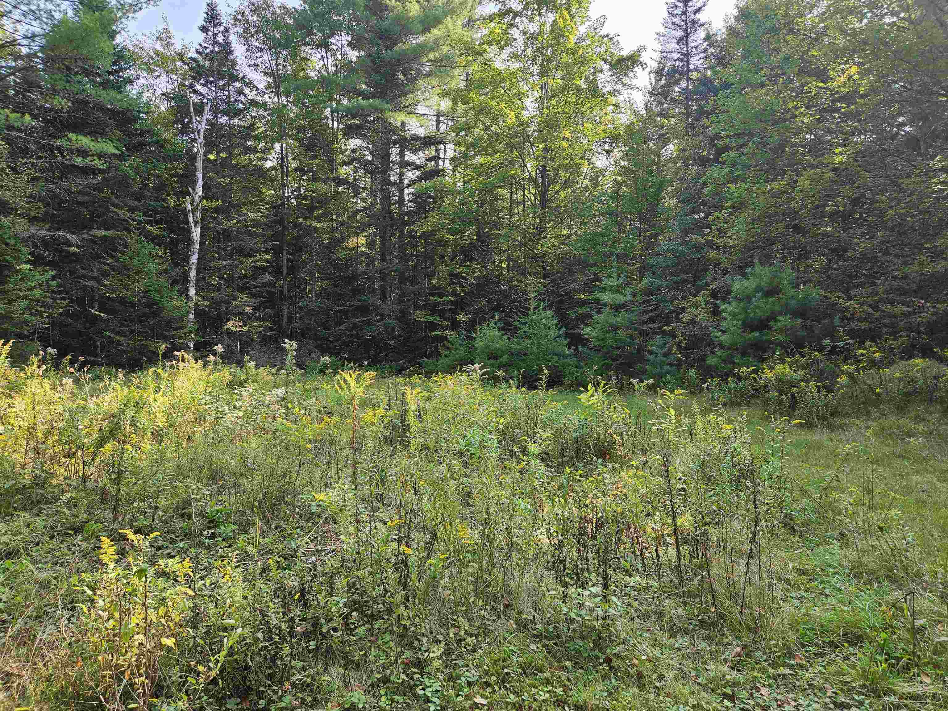 1476 Profile Road Property Photo 4