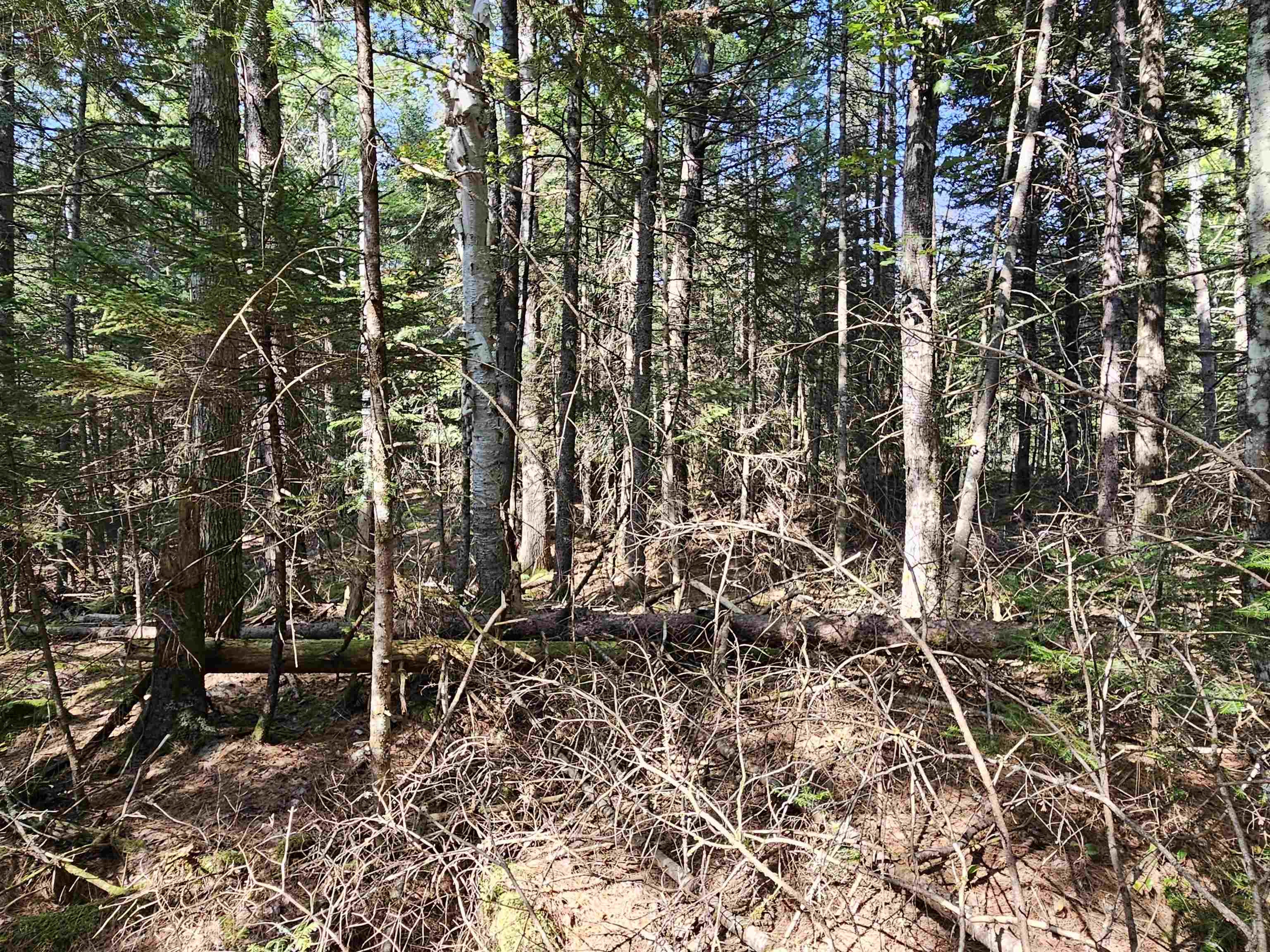 1476 Profile Road Property Photo 11