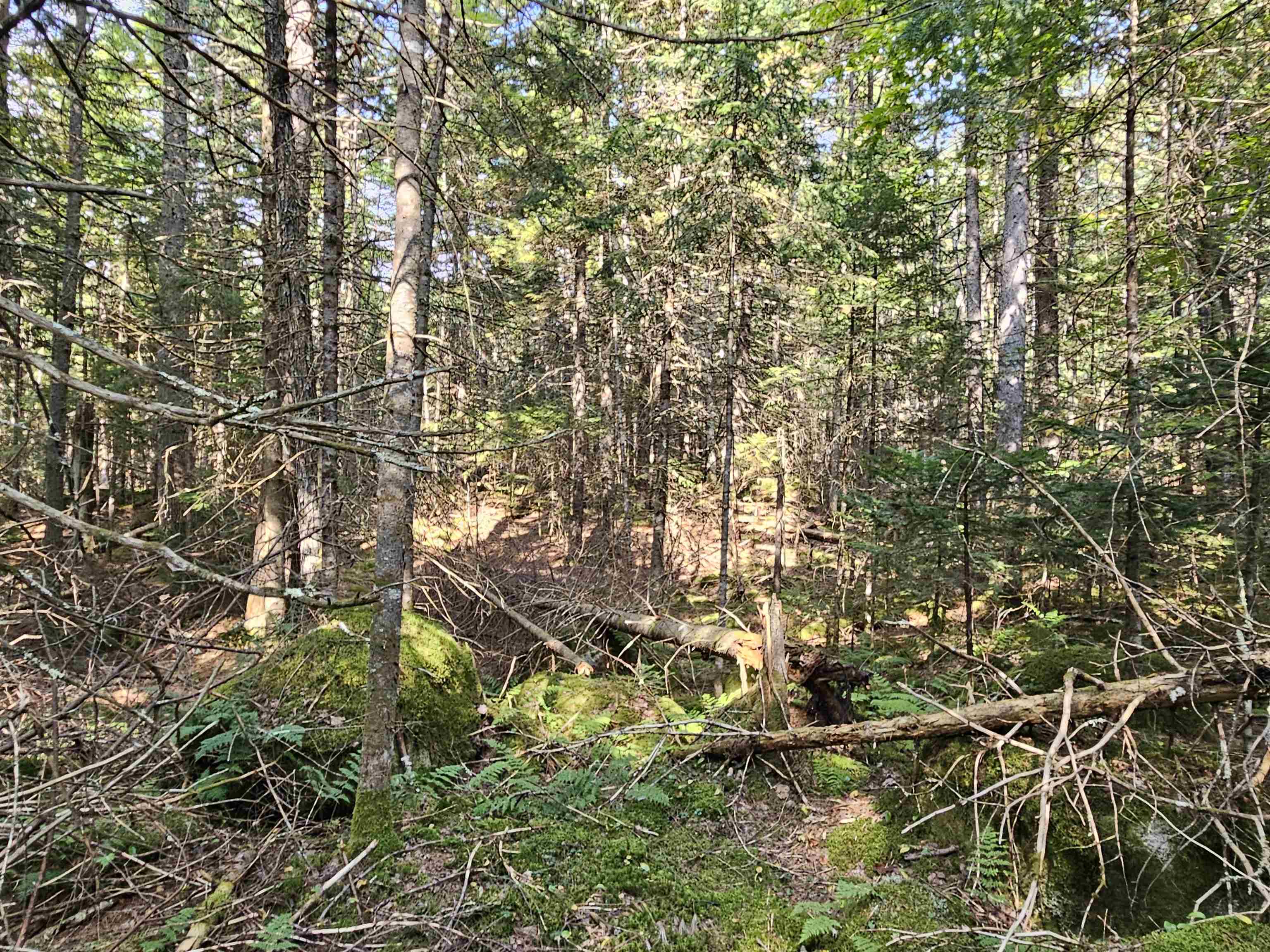 1476 Profile Road Property Photo 12