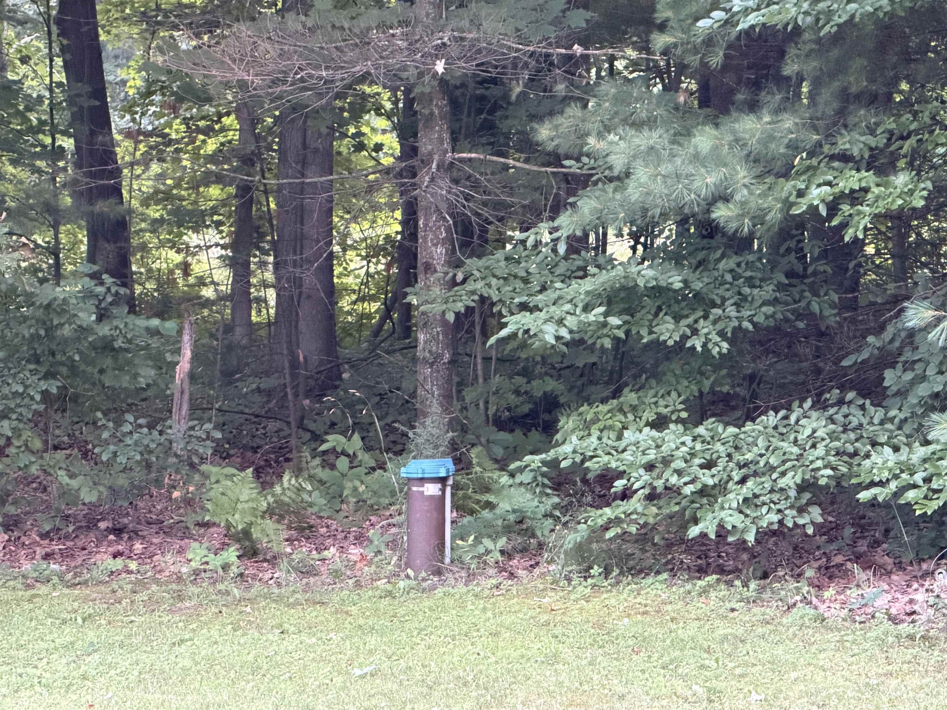 540 Route 7 Property Photo 55