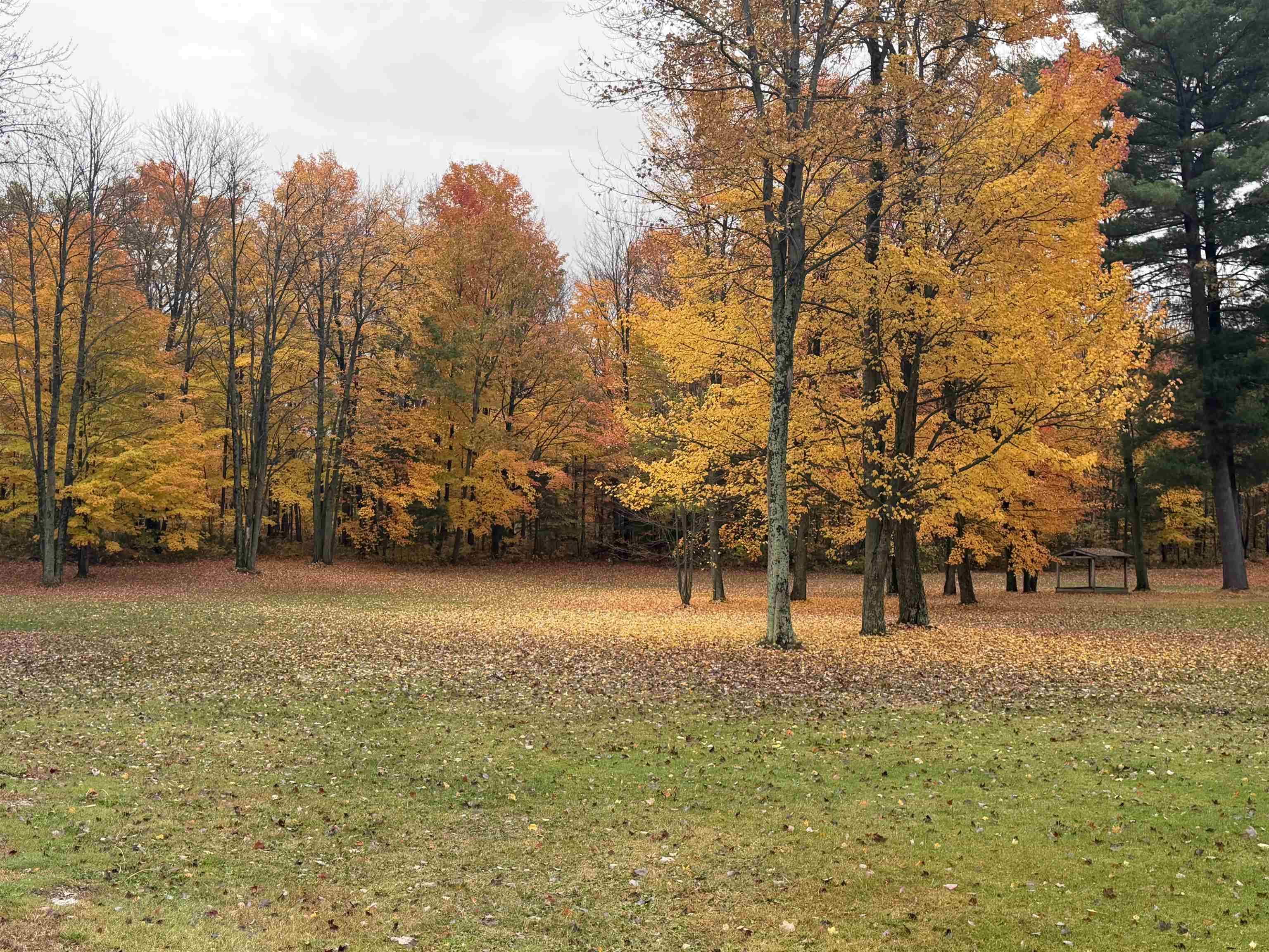 540 Route 7 Property Photo 14