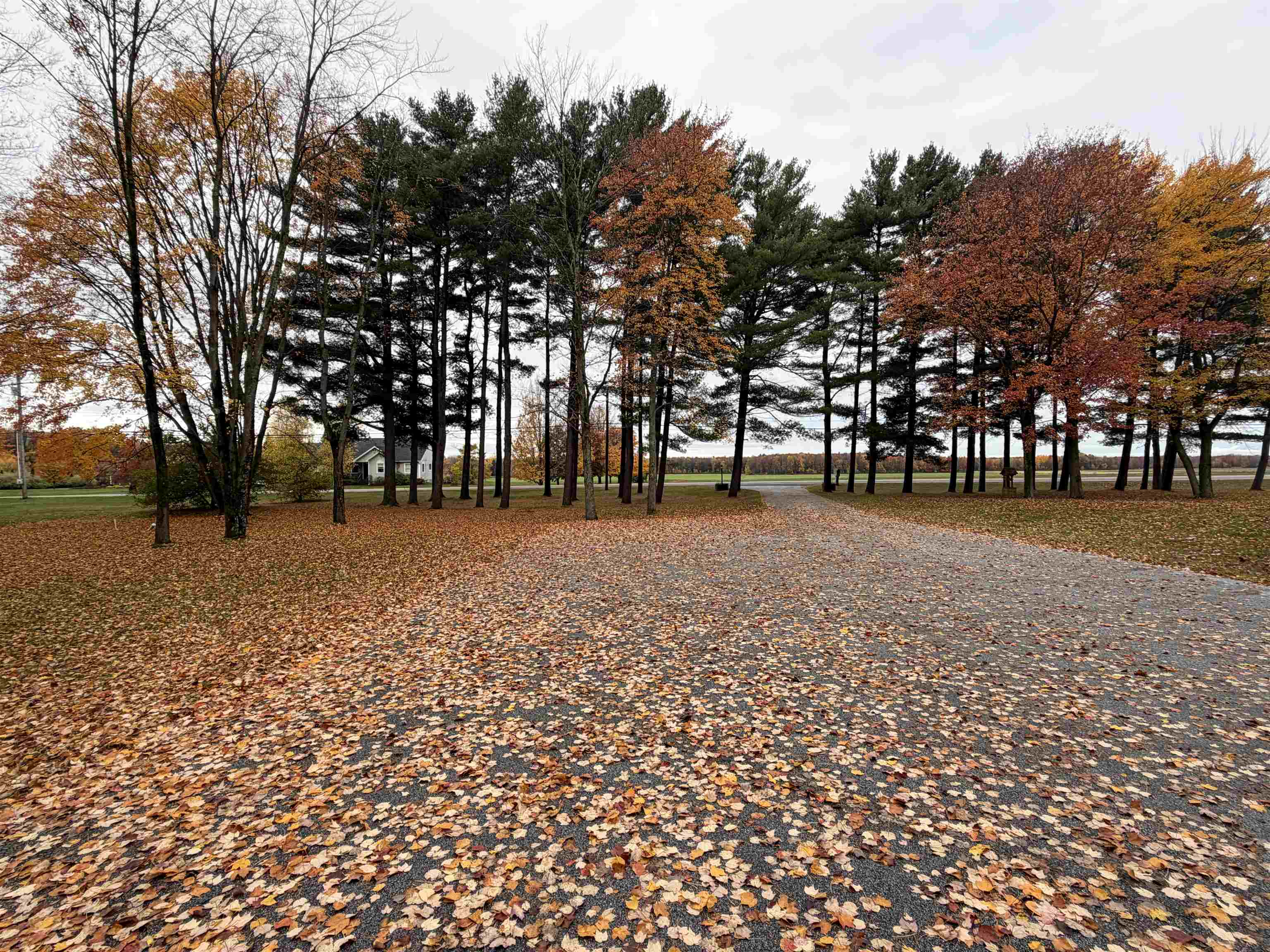 540 Route 7 Property Photo 15