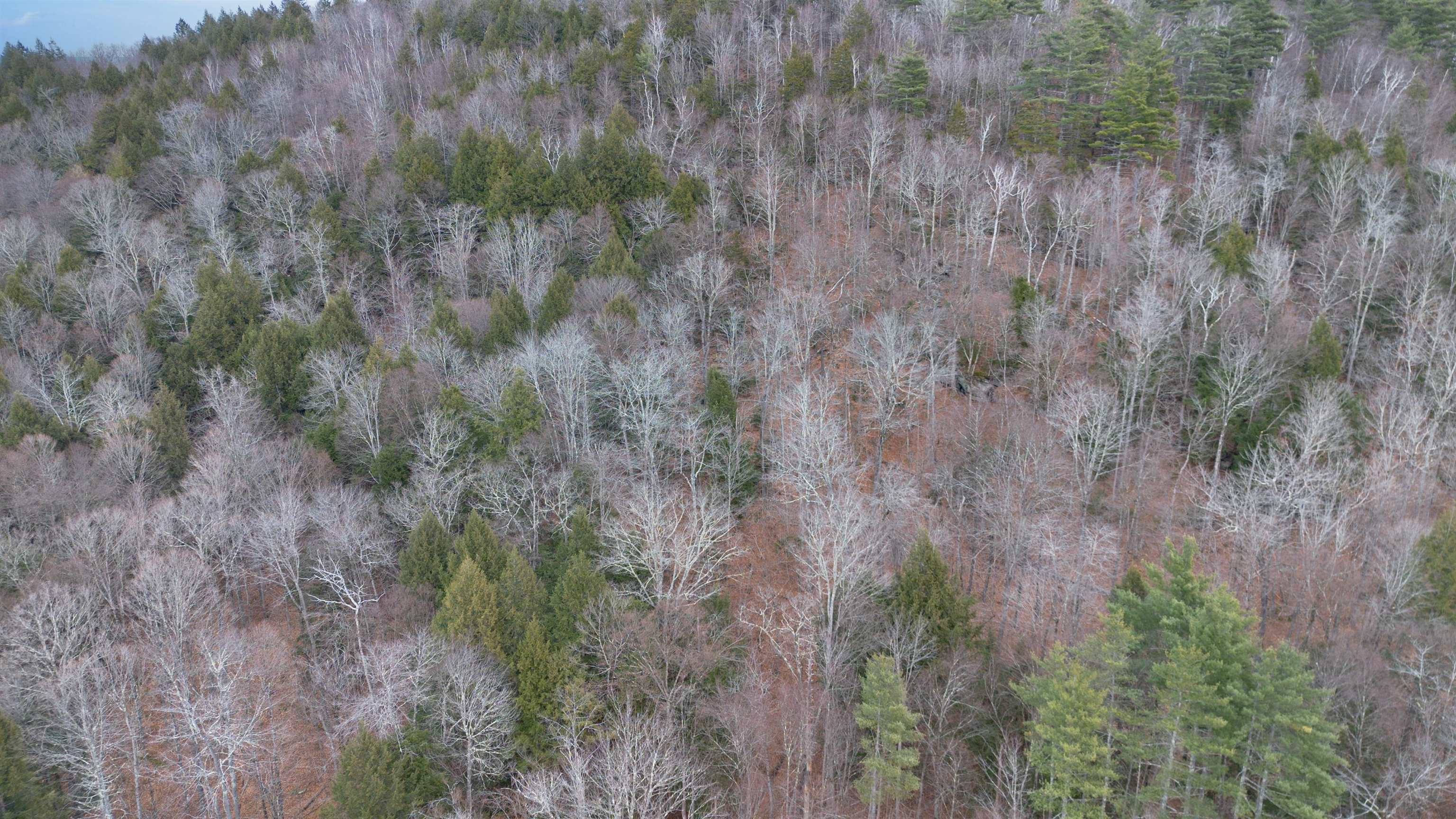 00 Route 100 Property Photo 3