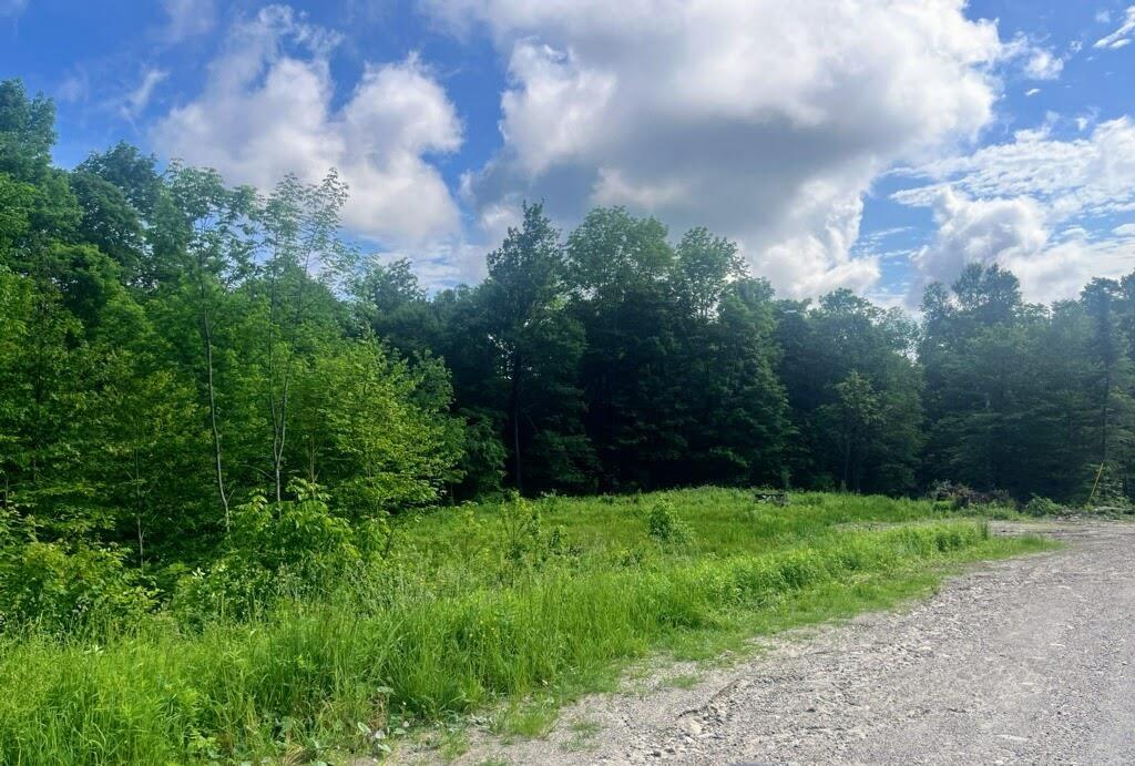 41 Moose Hollow Road Property Photo 1