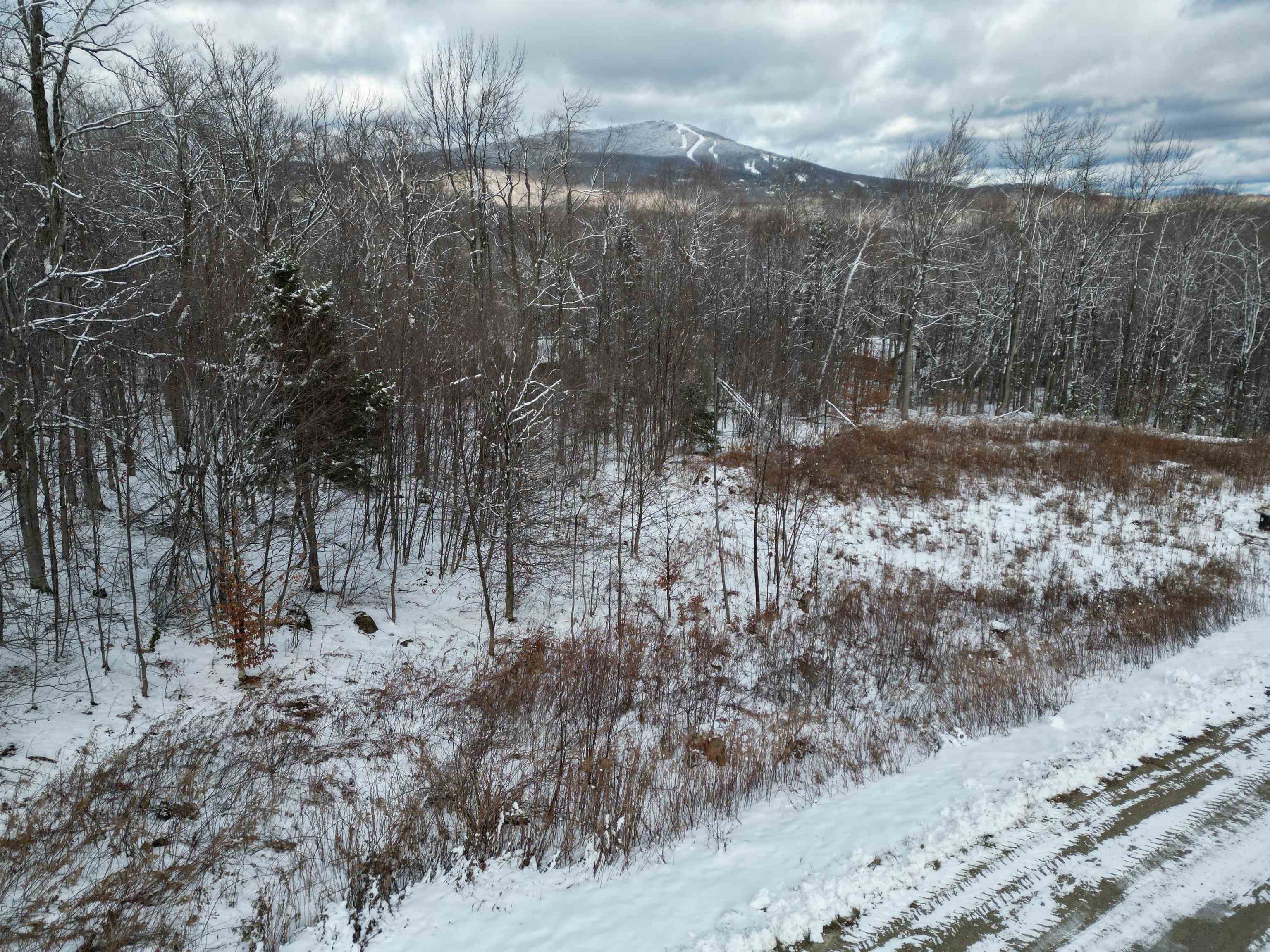 41 Moose Hollow Road Property Photo 2