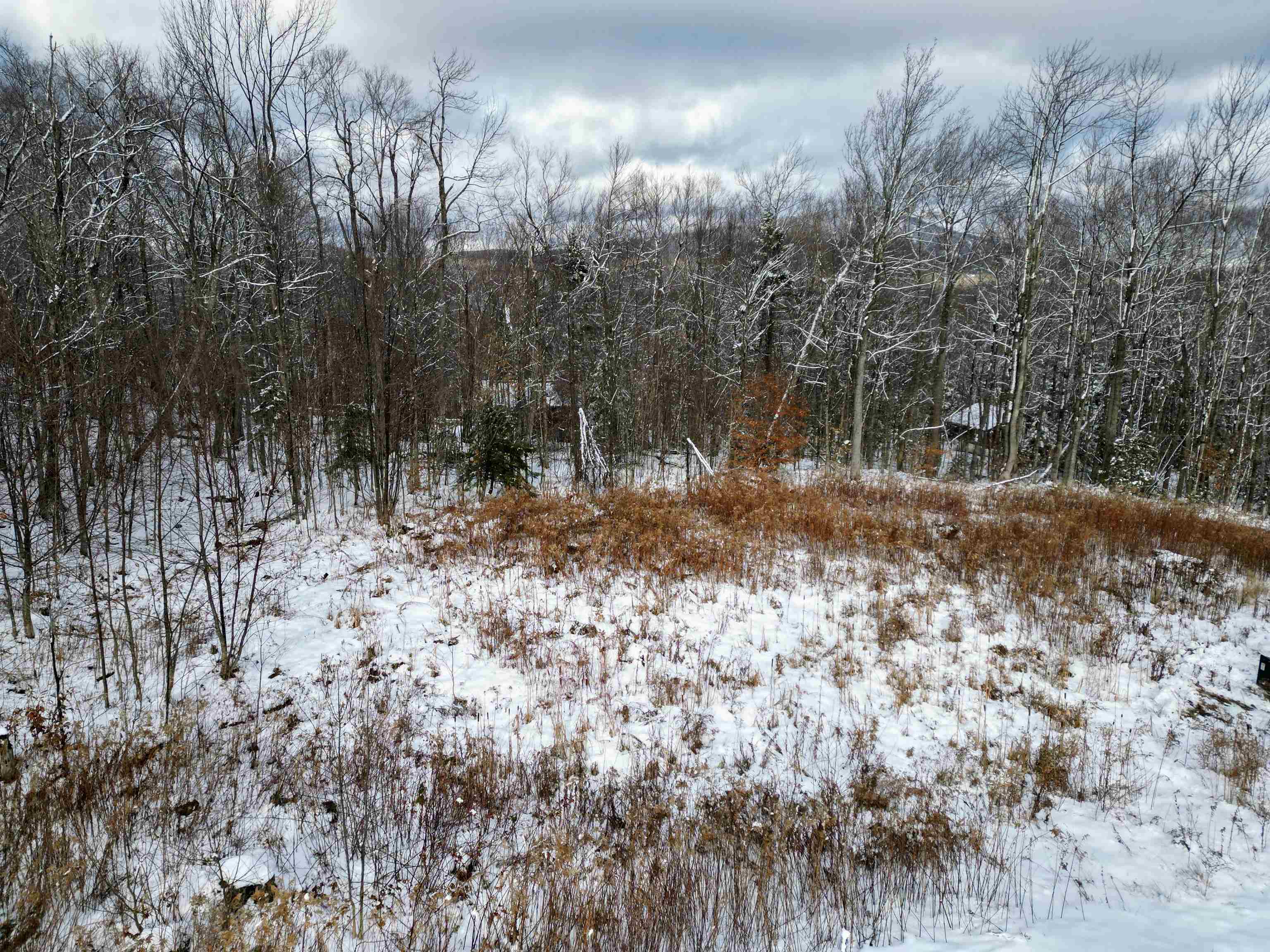 41 Moose Hollow Road Property Photo 3