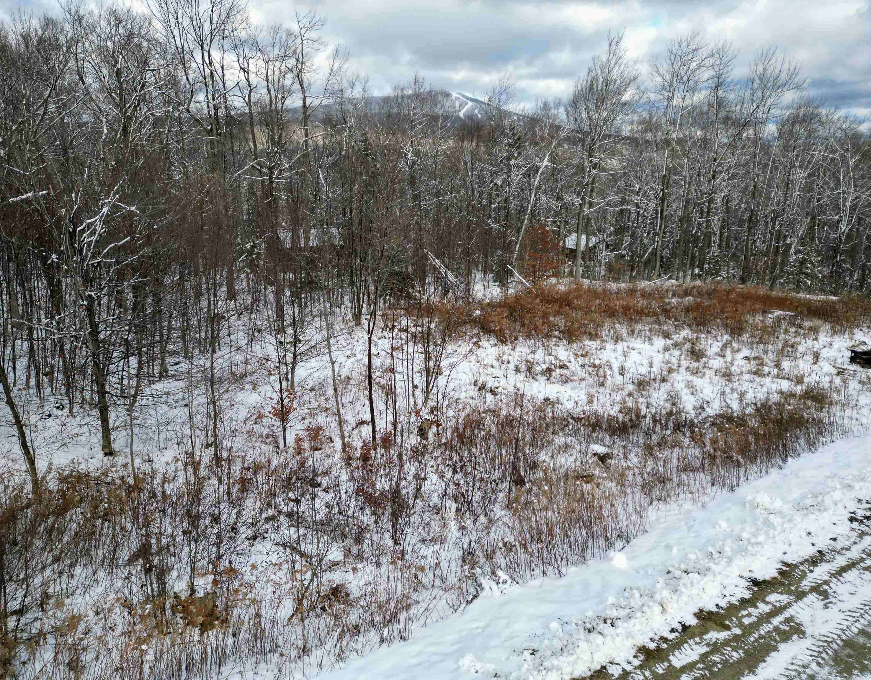 41 Moose Hollow Road Property Photo 10