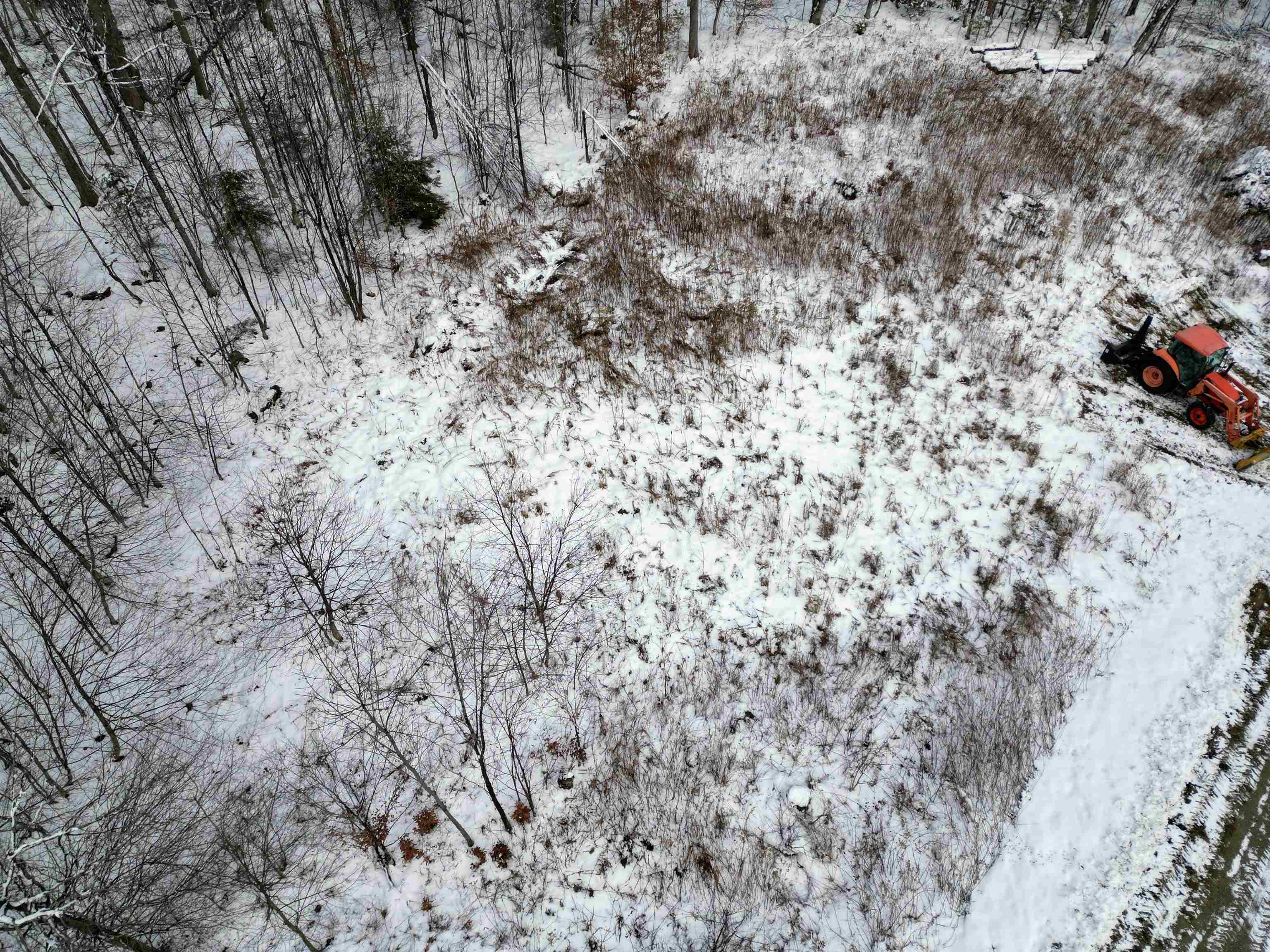 41 Moose Hollow Road Property Photo 12