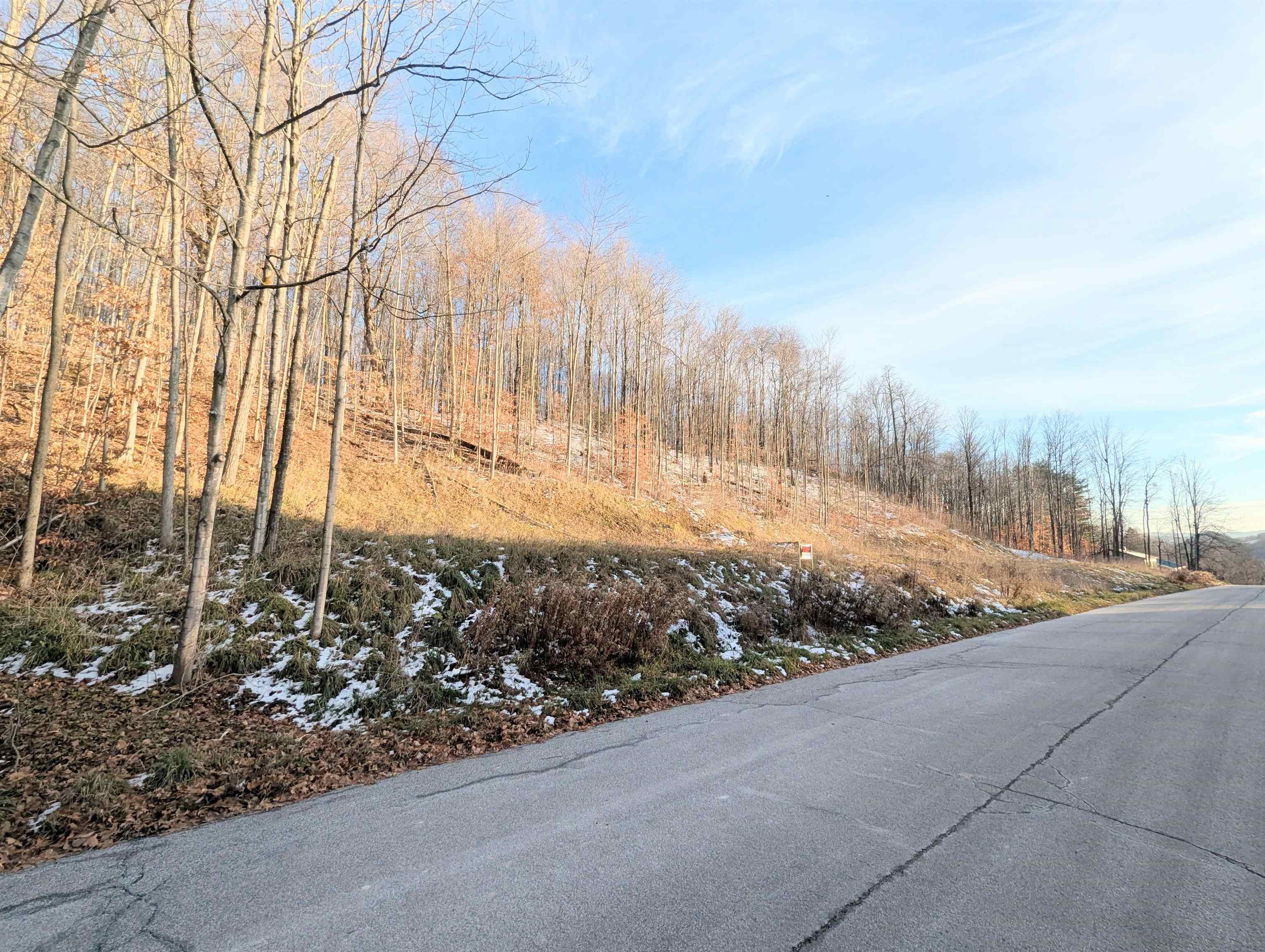 Lot #10 & 11 Maplewood Avenue Property Photo 1
