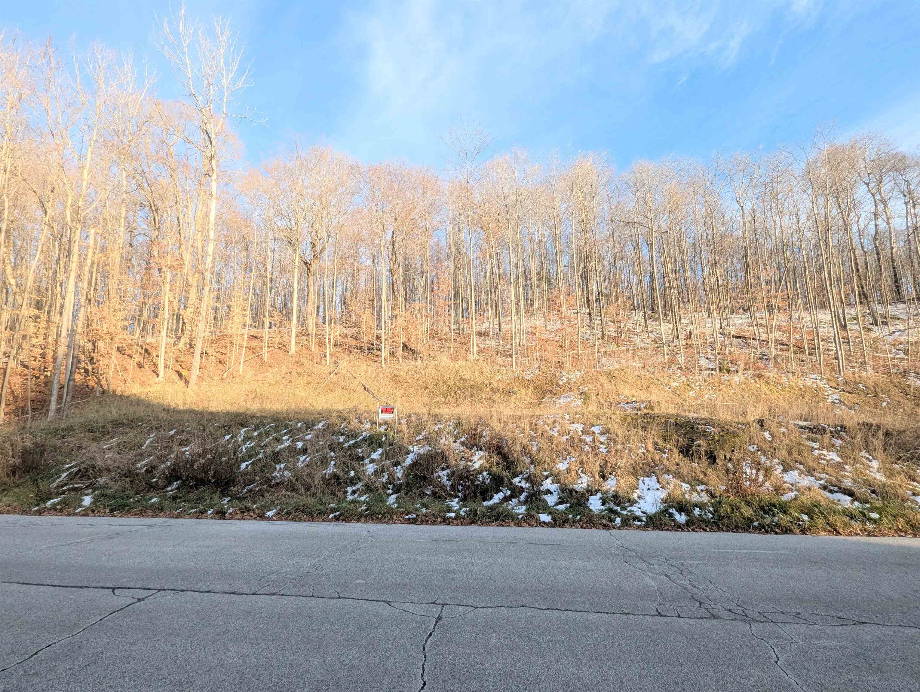 Lot #10 & 11 Maplewood Avenue Property Photo 2