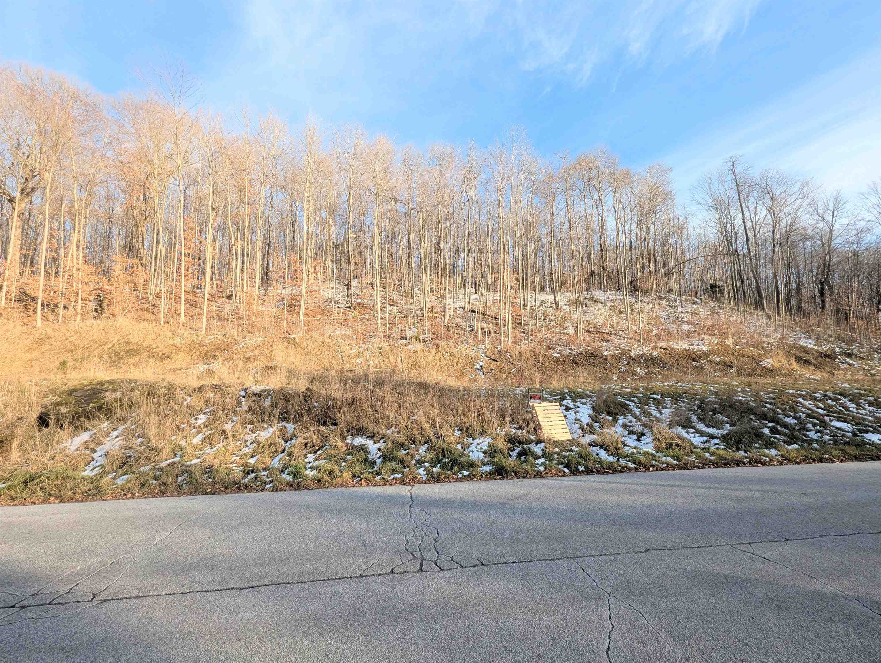 Lot #10 & 11 Maplewood Avenue Property Photo 3