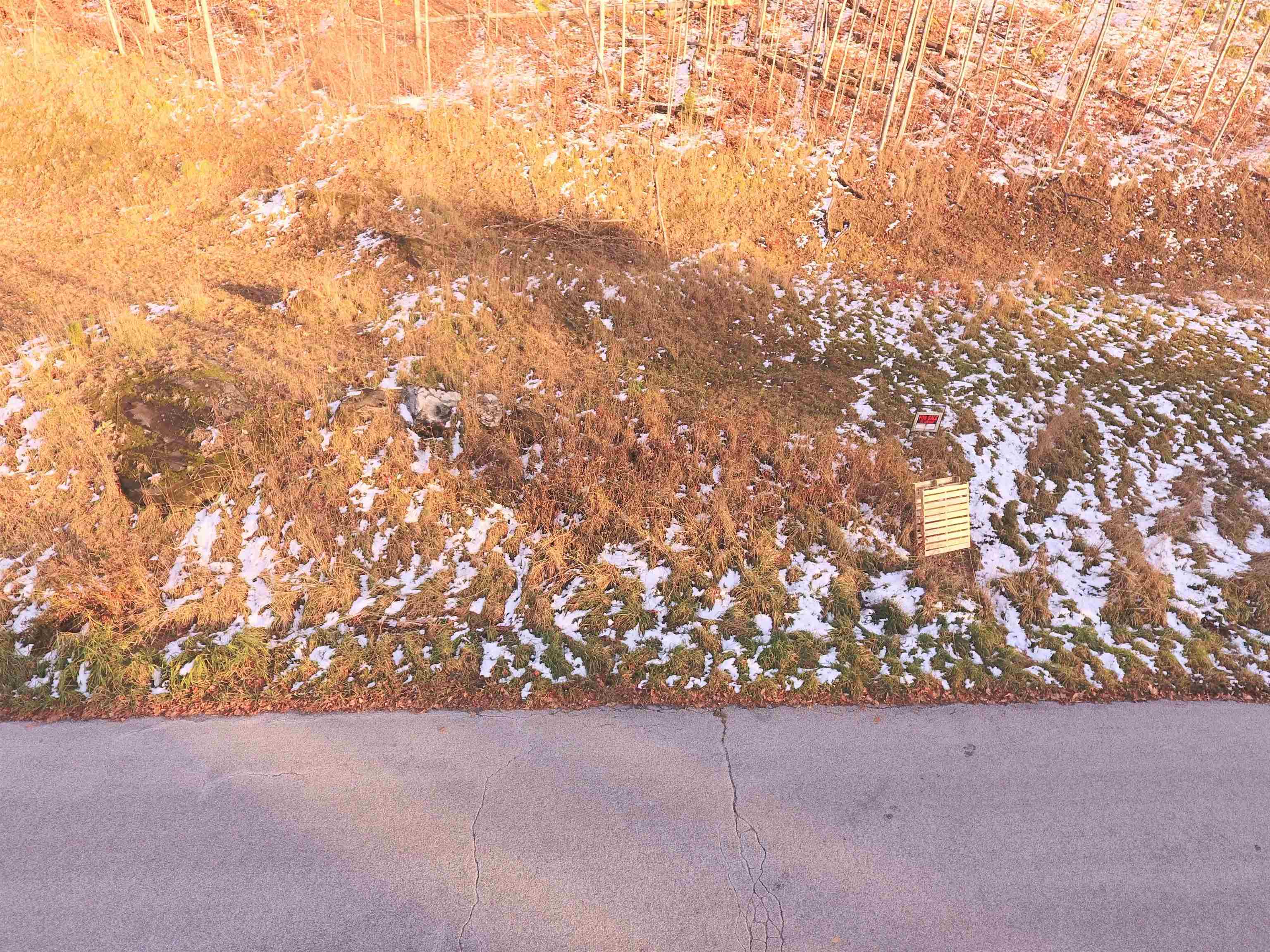 Lot #10 & 11 Maplewood Avenue Property Photo 8