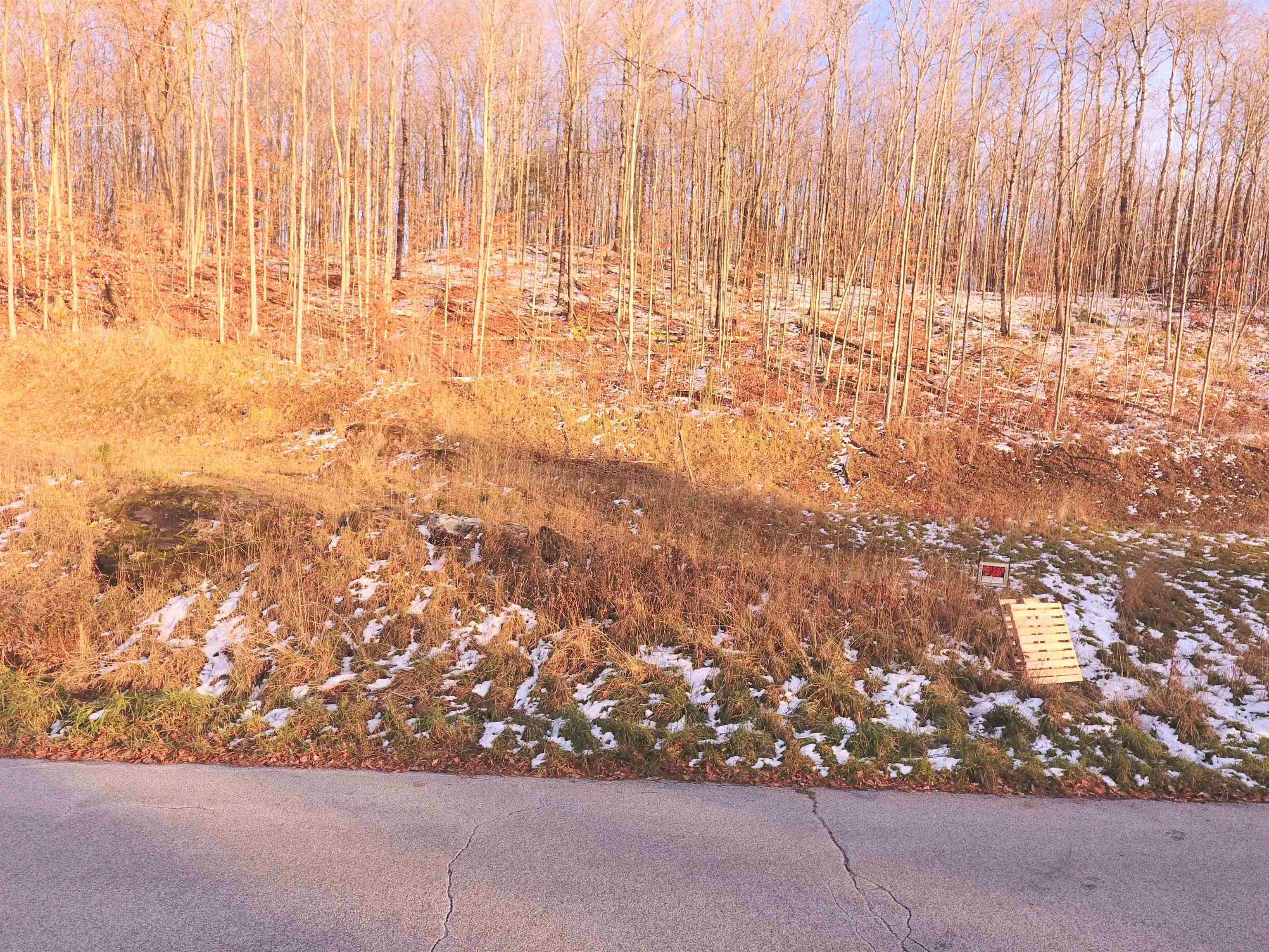 Lot # 10 Maplewood Avenue Property Photo 4
