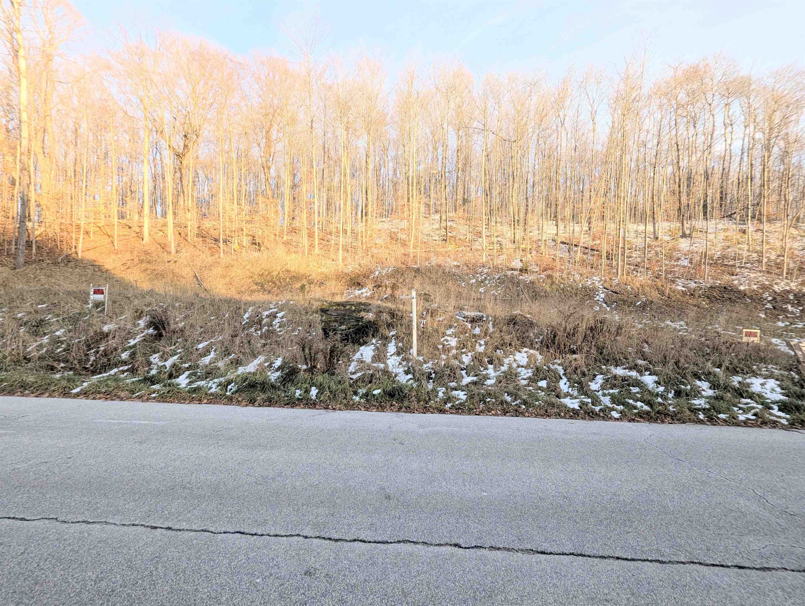 Lot # 10 Maplewood Avenue Property Photo 5