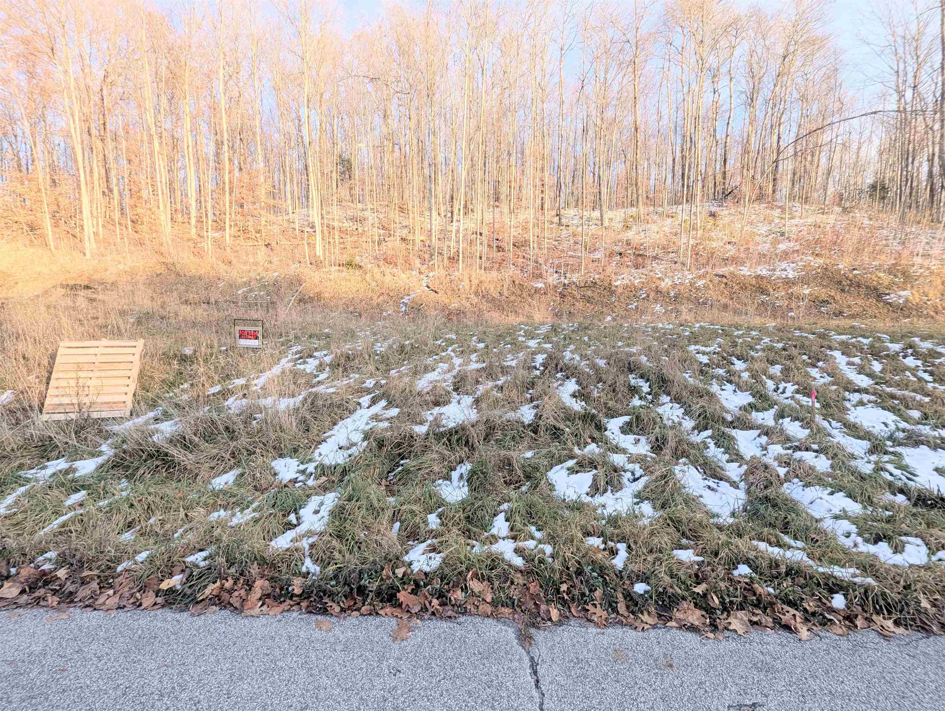 Lot # 10 Maplewood Avenue Property Photo 9