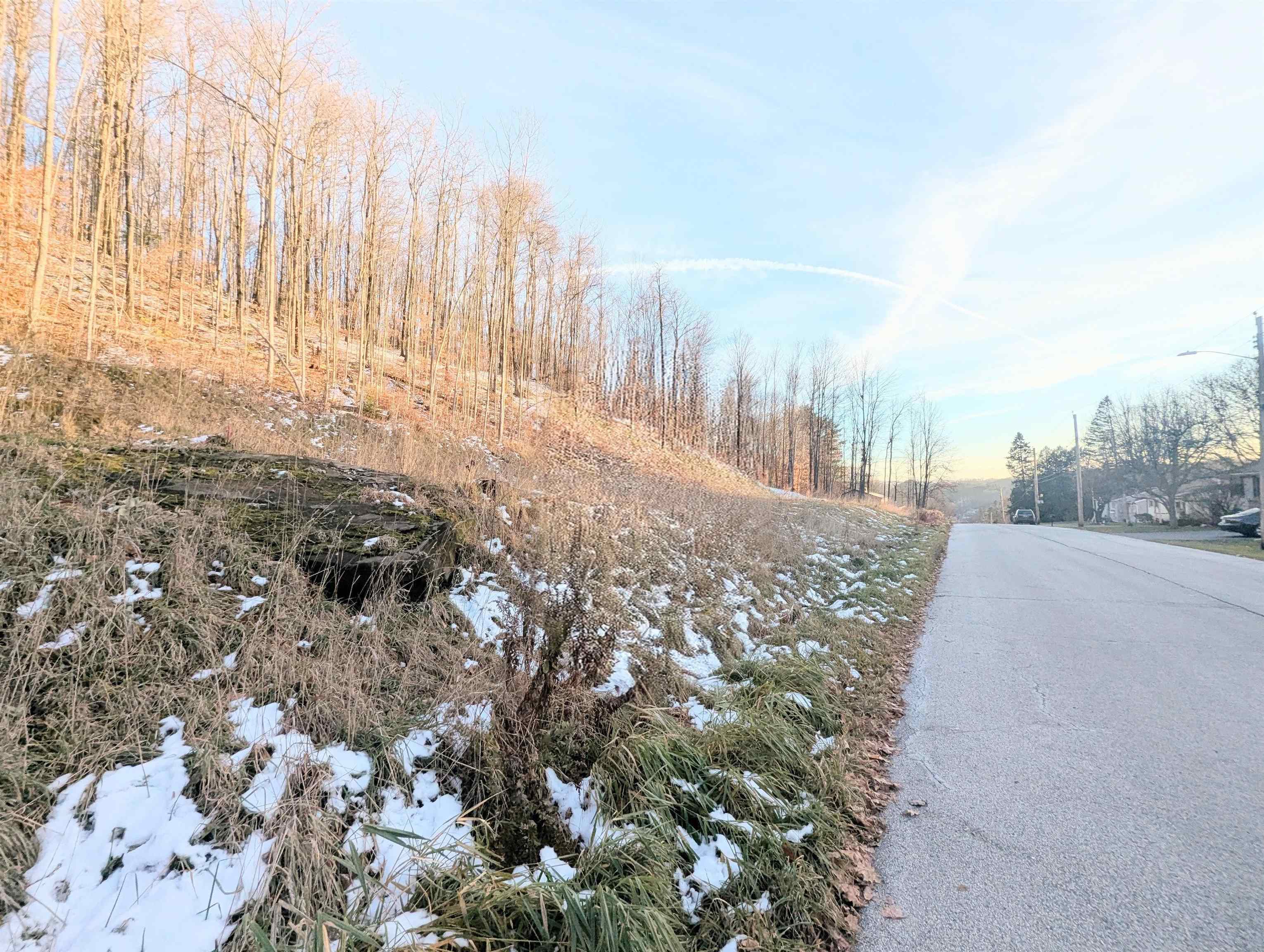 Lot # 11 Maplewood Avenue Property Photo 6