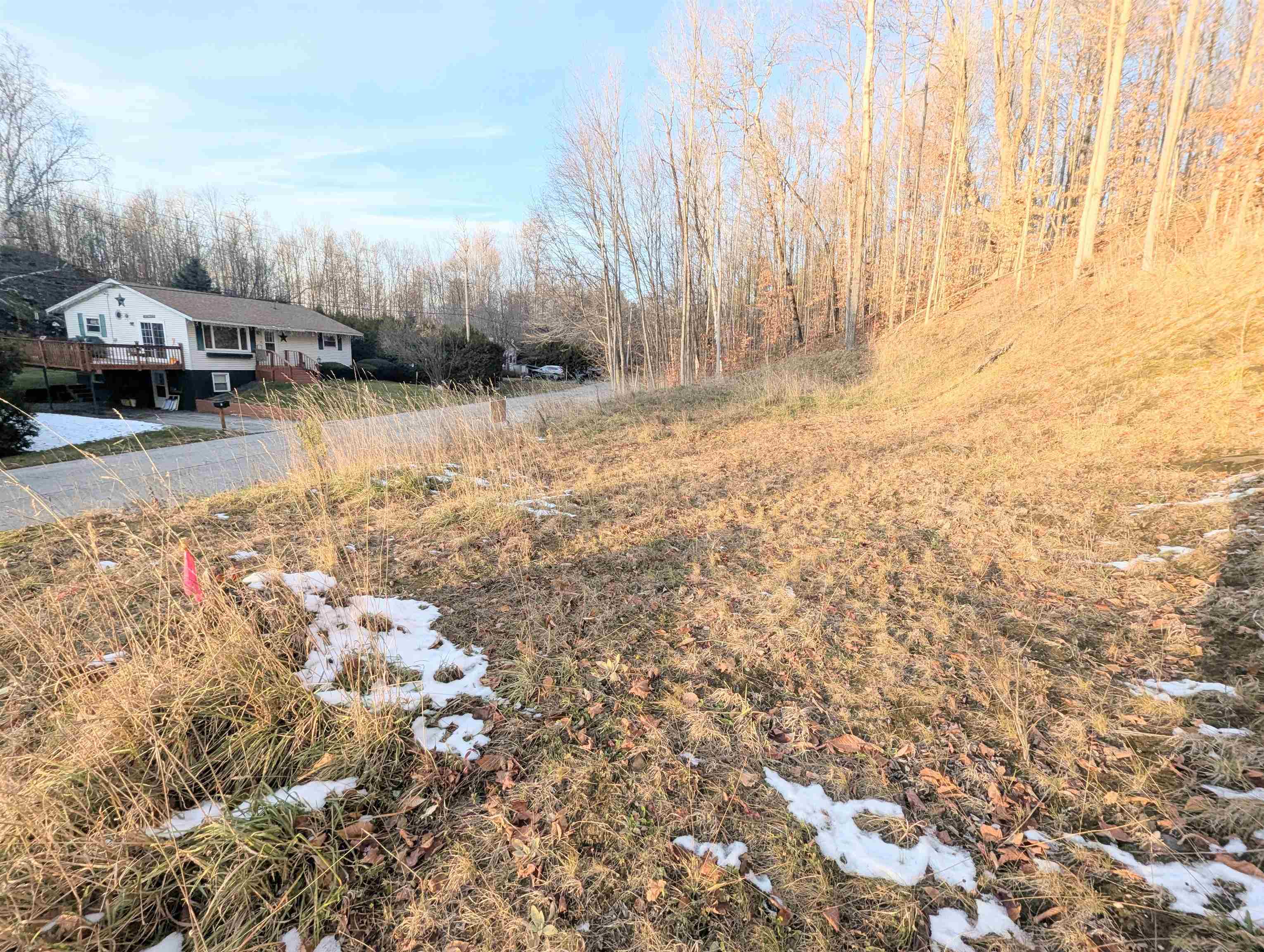 Lot # 11 Maplewood Avenue Property Photo 12