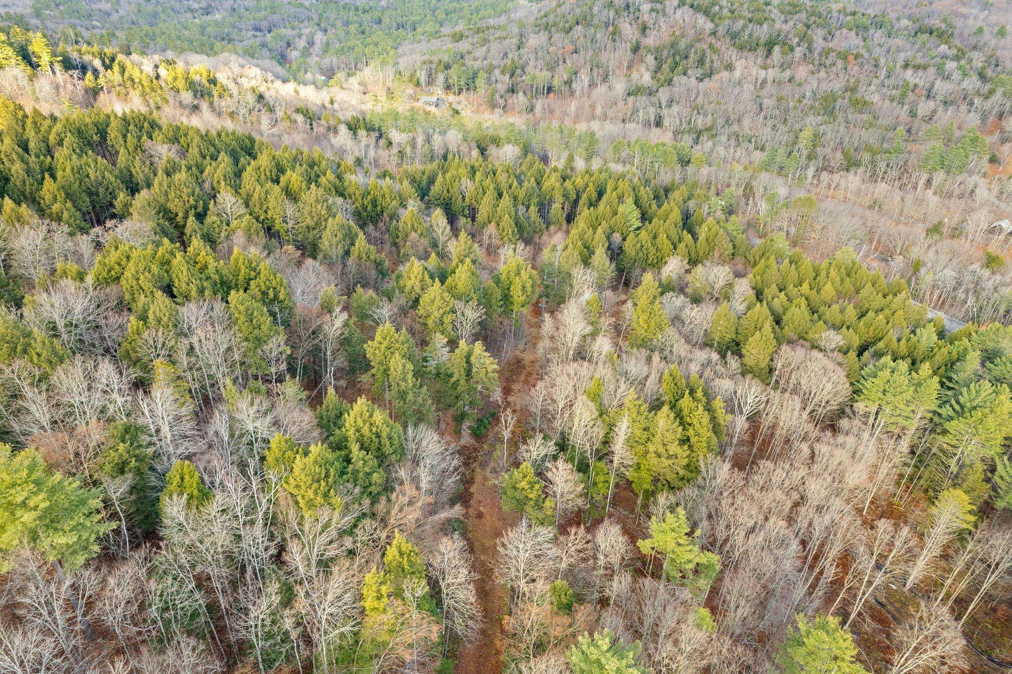 0 Vt Route 106 Property Photo 7