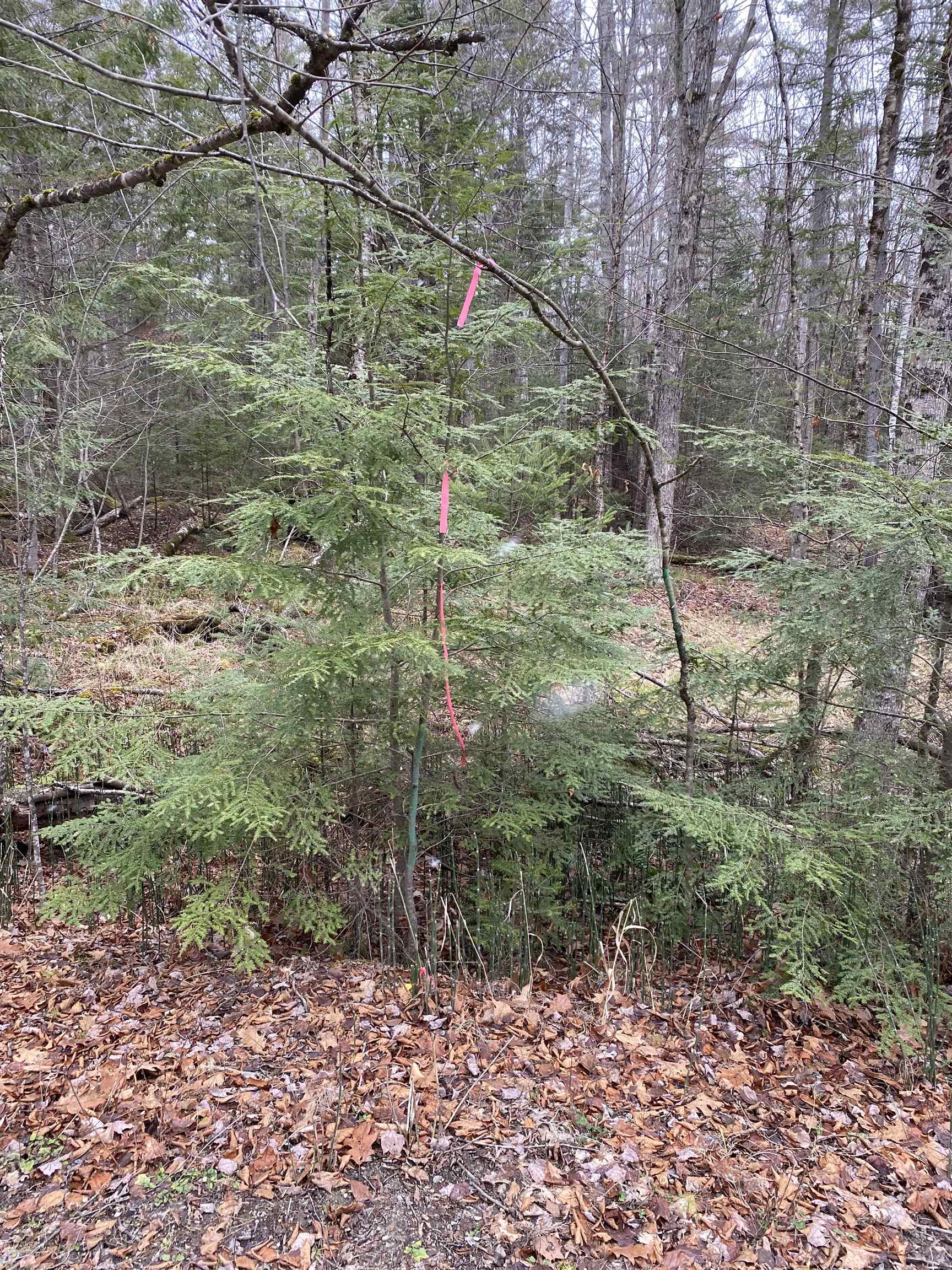 84 Vernon Avenue Property Photo 1