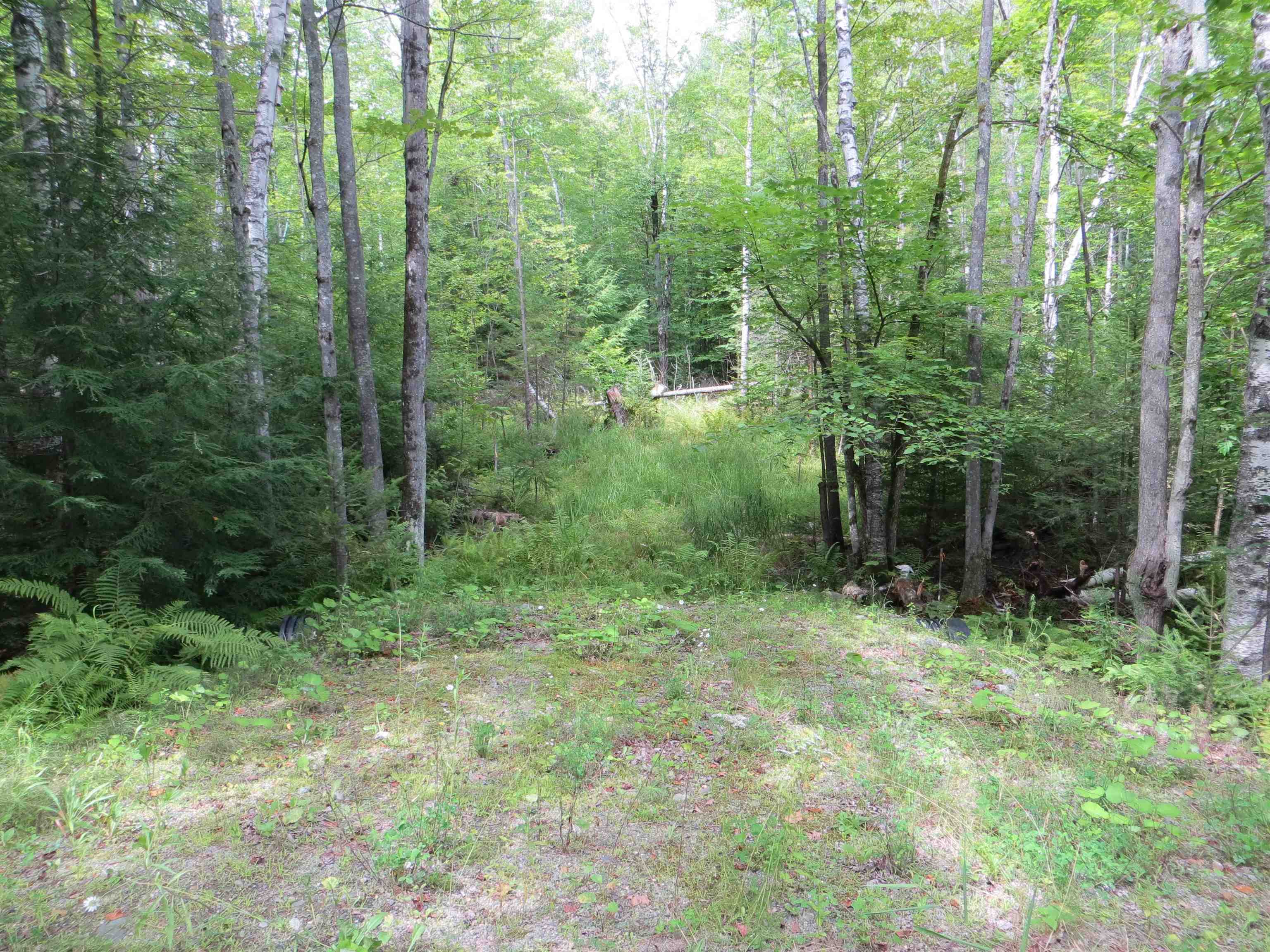 84 Vernon Avenue Property Photo 14