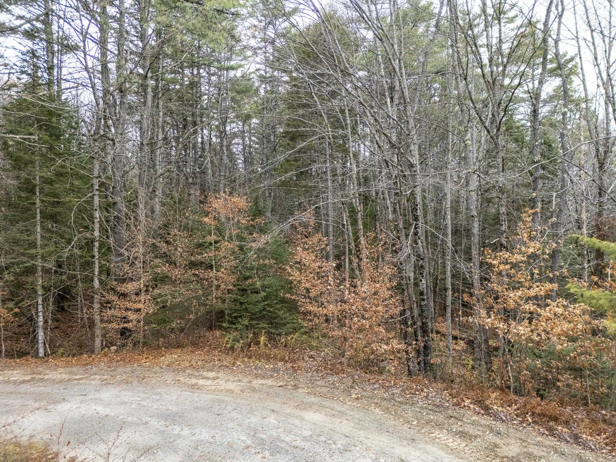 0 Juniper Meadow Road Property Photo 6