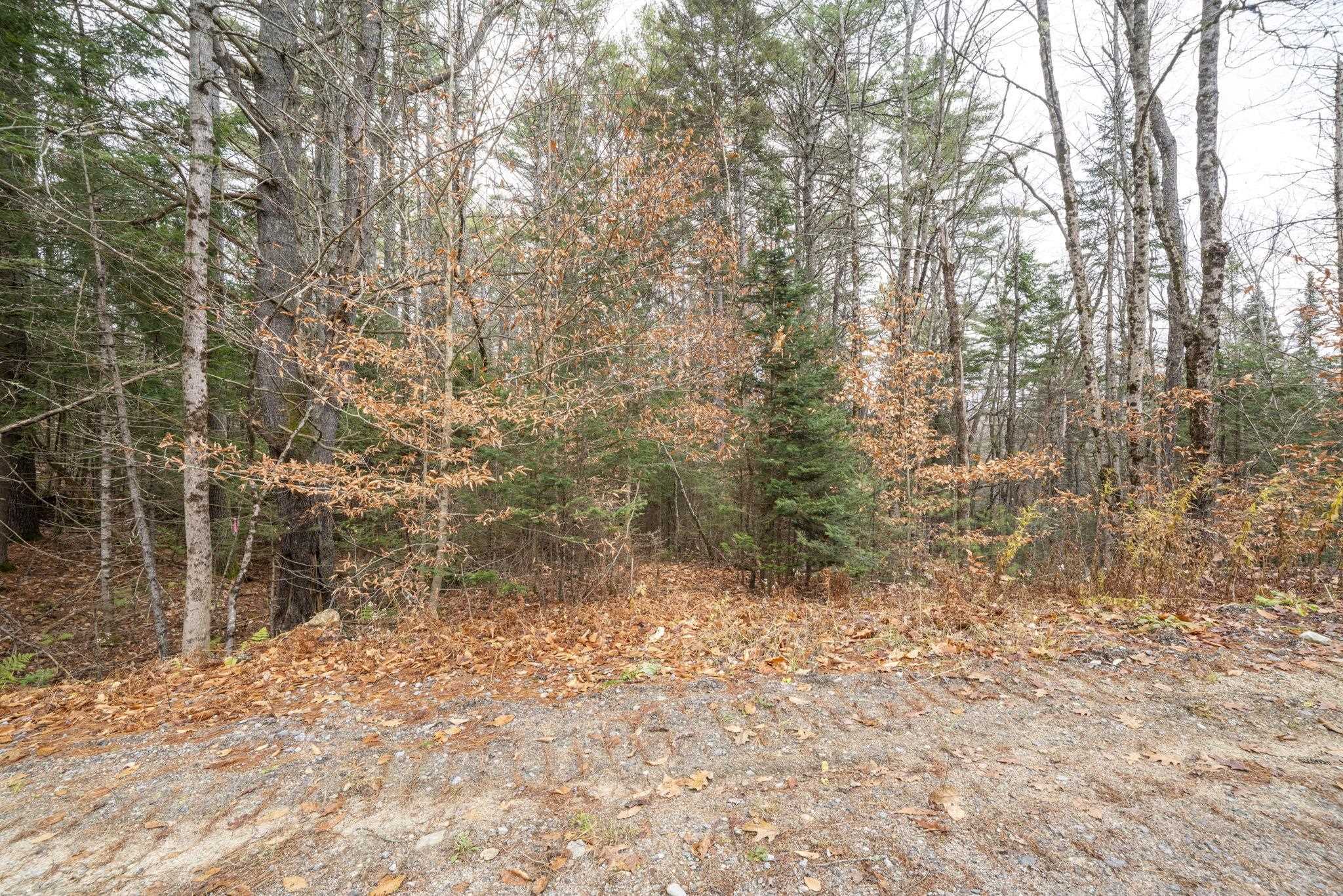 0 Juniper Meadow Road Property Photo 15