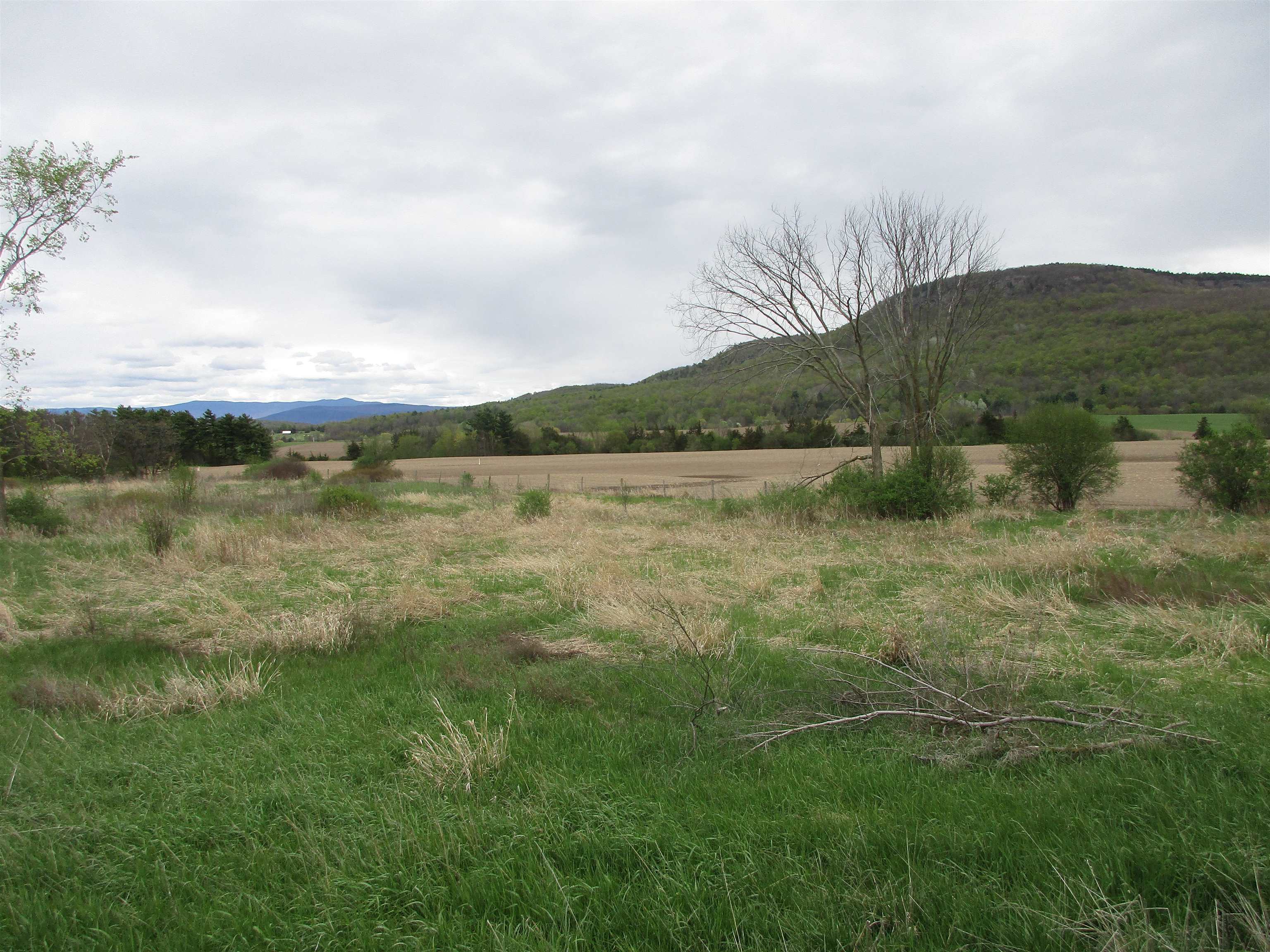 56 Danyow Drive Property Photo 15