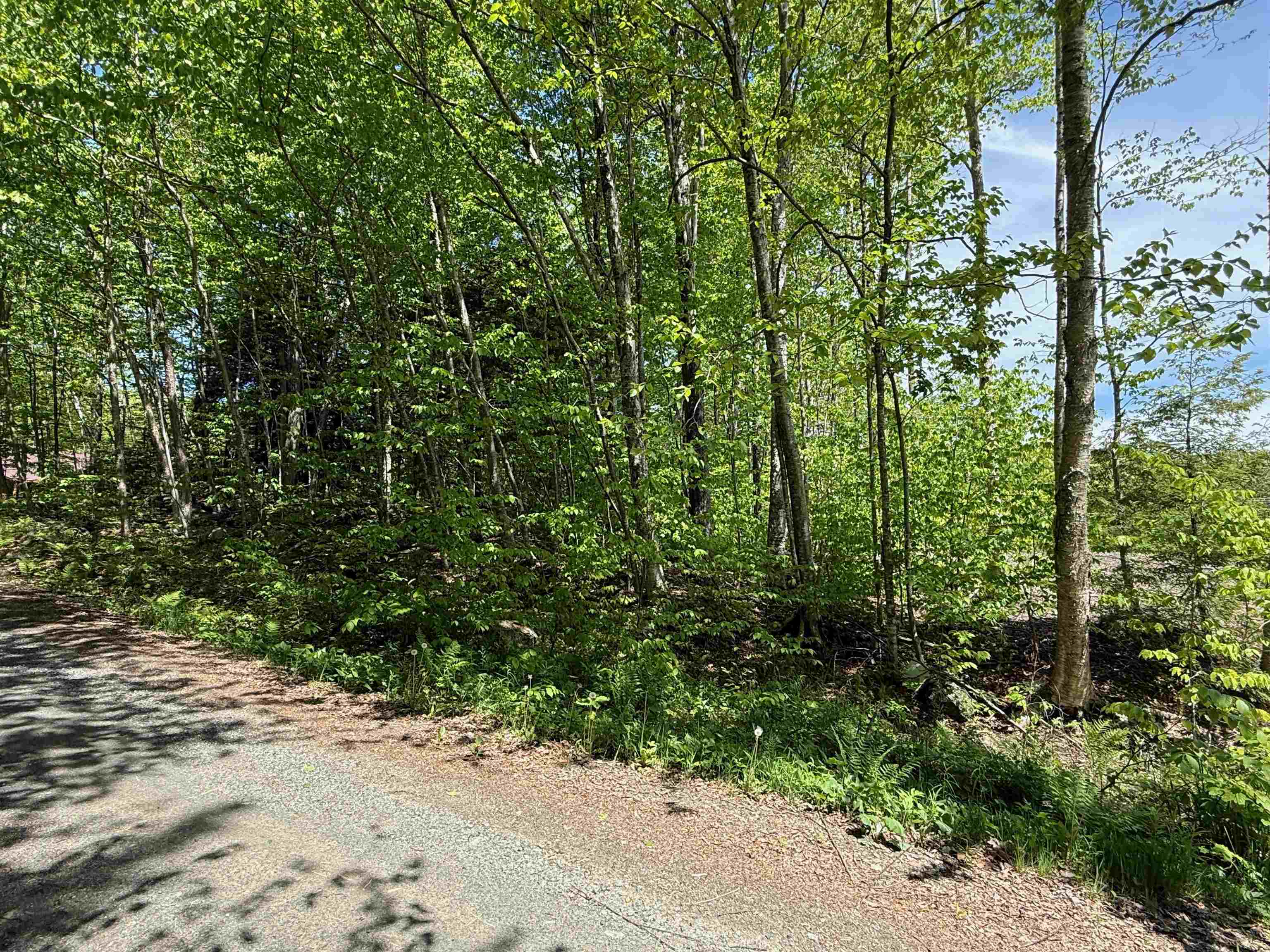 Lot 3 158/160 High Peak Way Property Photo 2