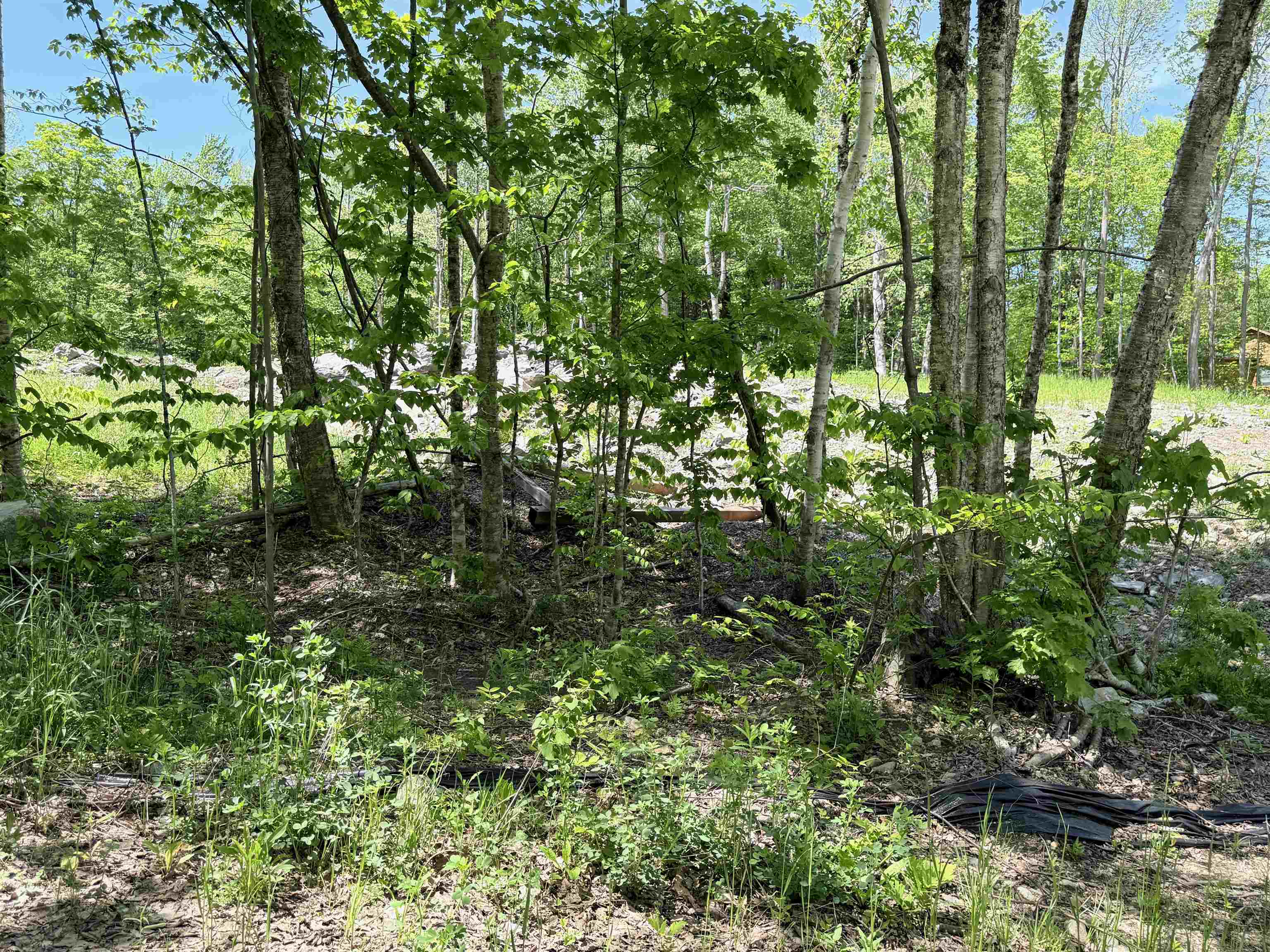 Lot 1 - 161 High Peak Way Property Photo 6
