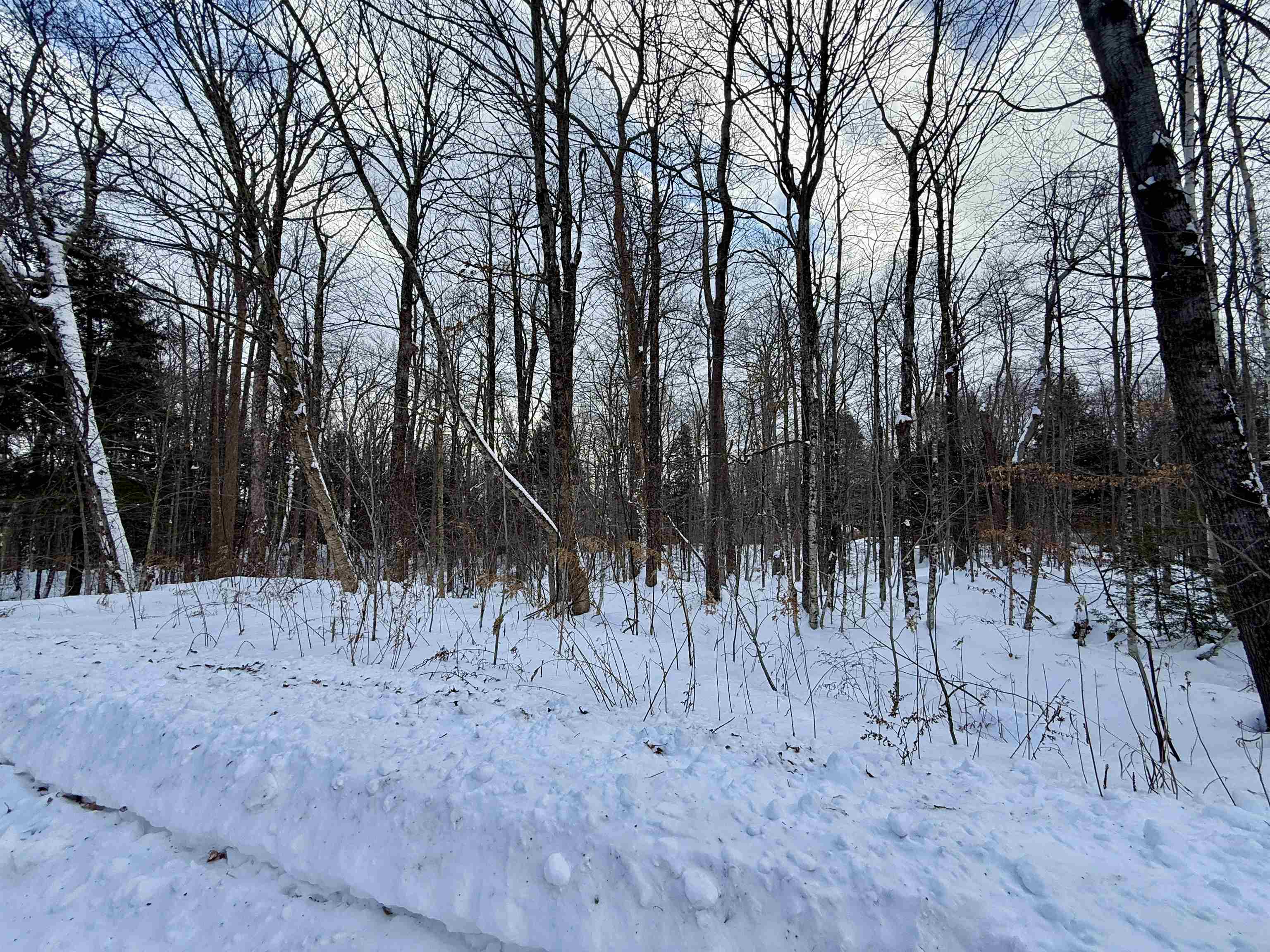 Lot 4 -156 High Peak Way Property Photo 4