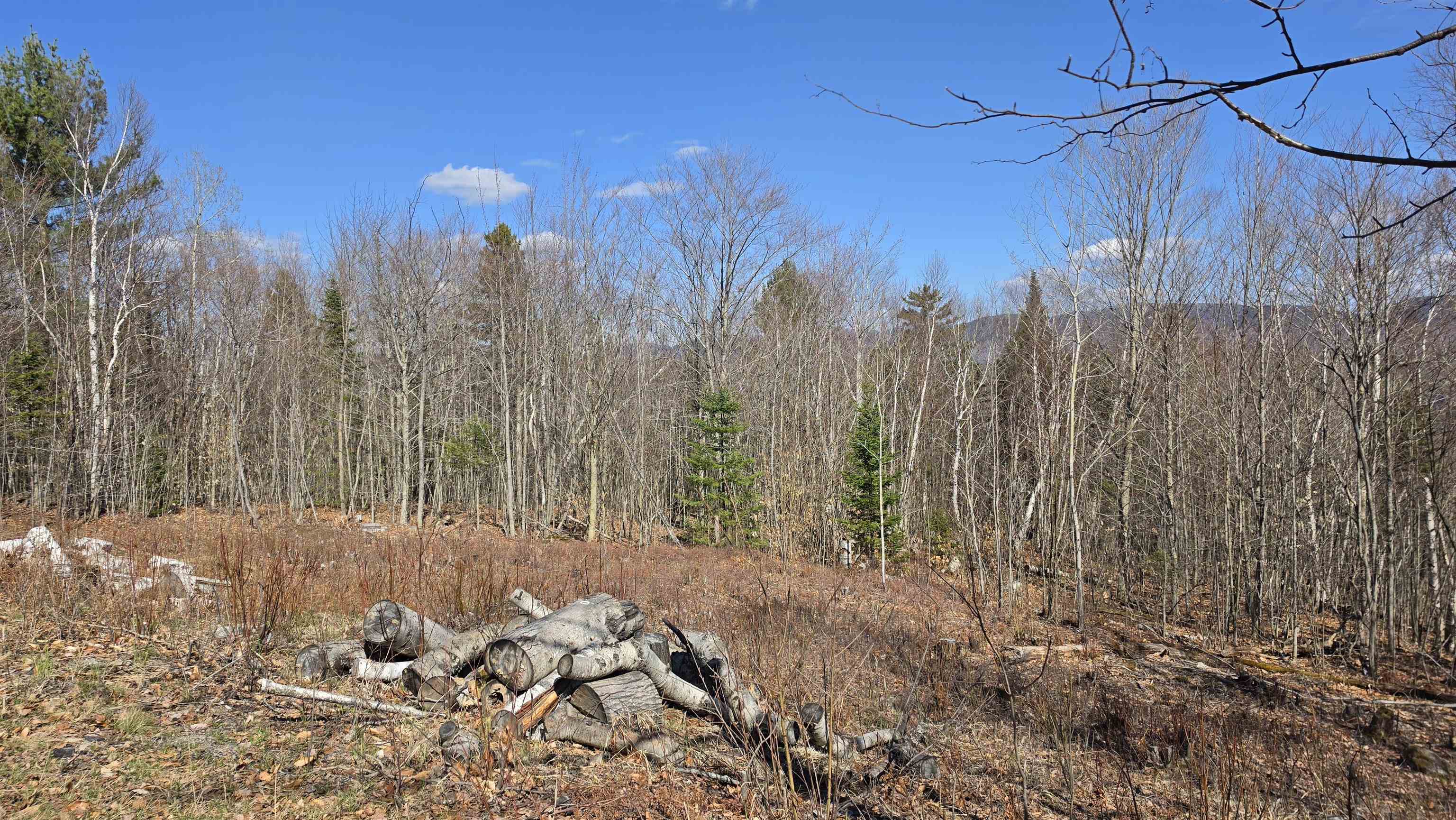 Cates Hill Road Property Photo 1