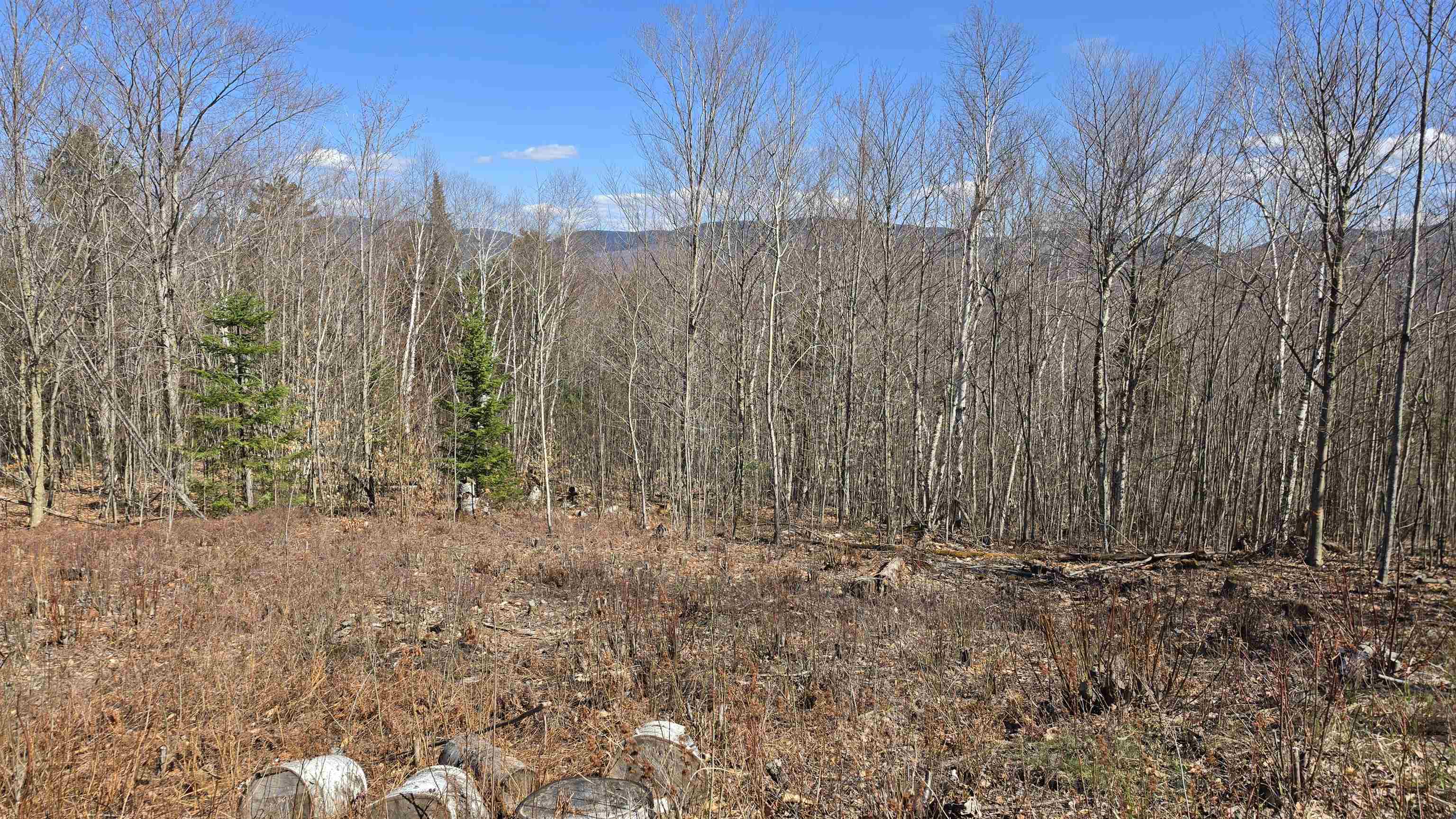 Cates Hill Road Property Photo 2