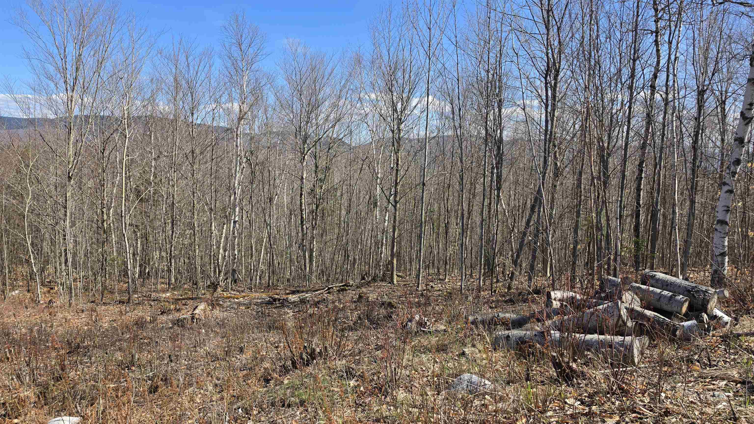 Cates Hill Road Property Photo 3