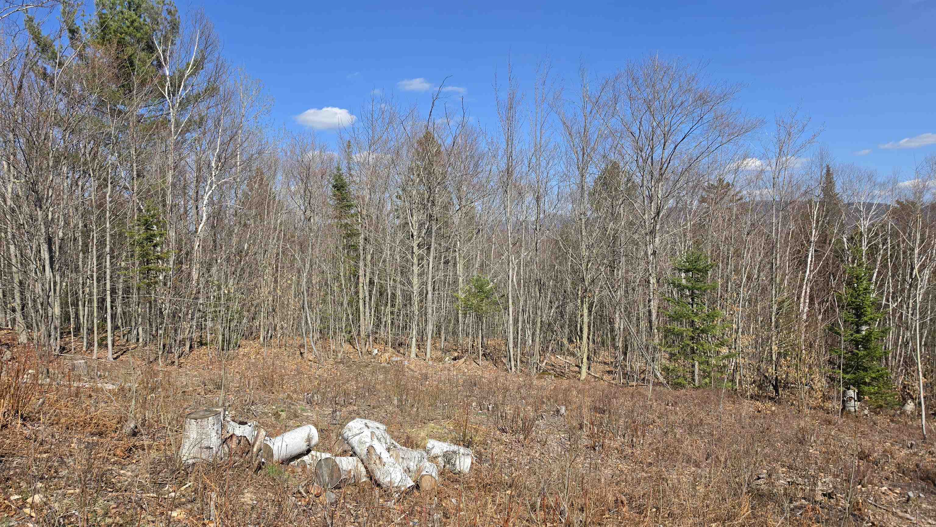 Cates Hill Road Property Photo 4