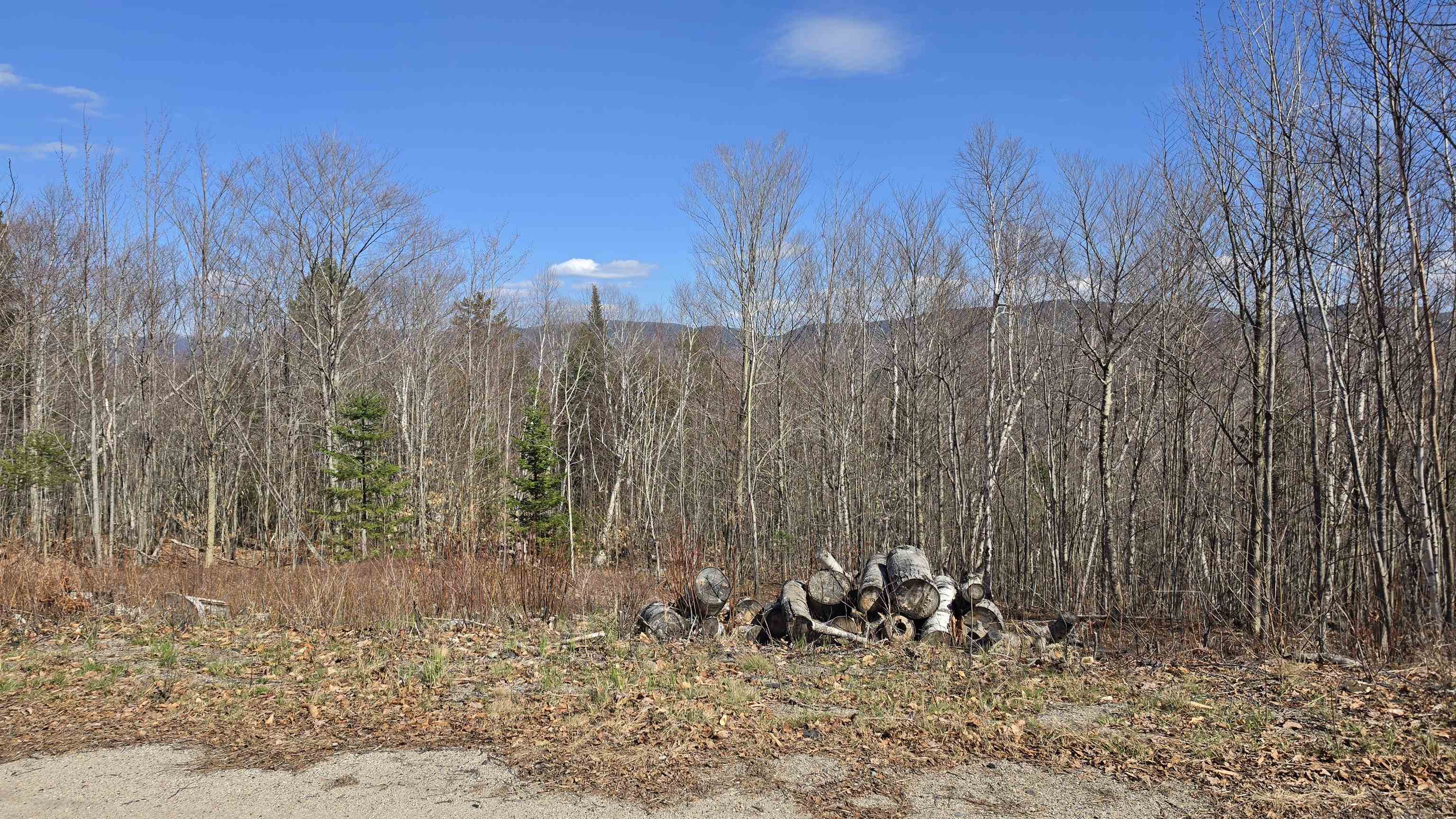 Cates Hill Road Property Photo 5