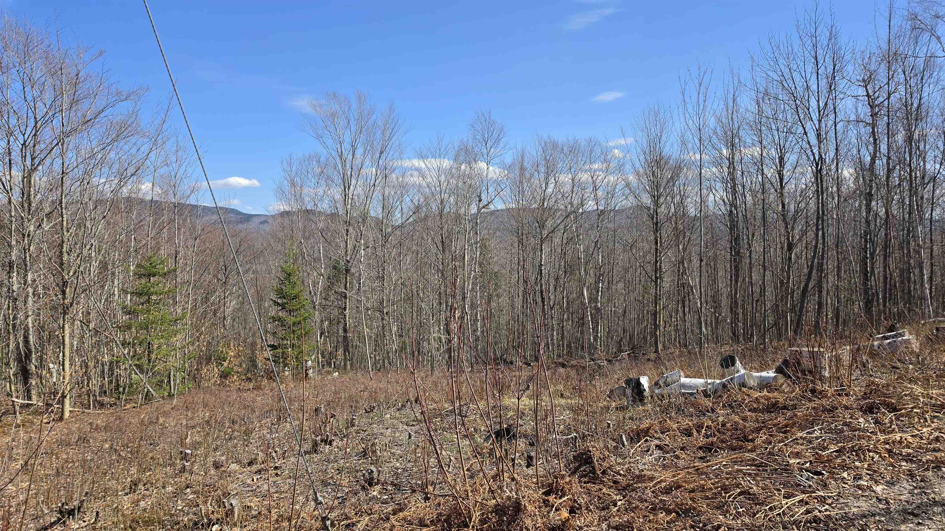 Cates Hill Road Property Photo 6