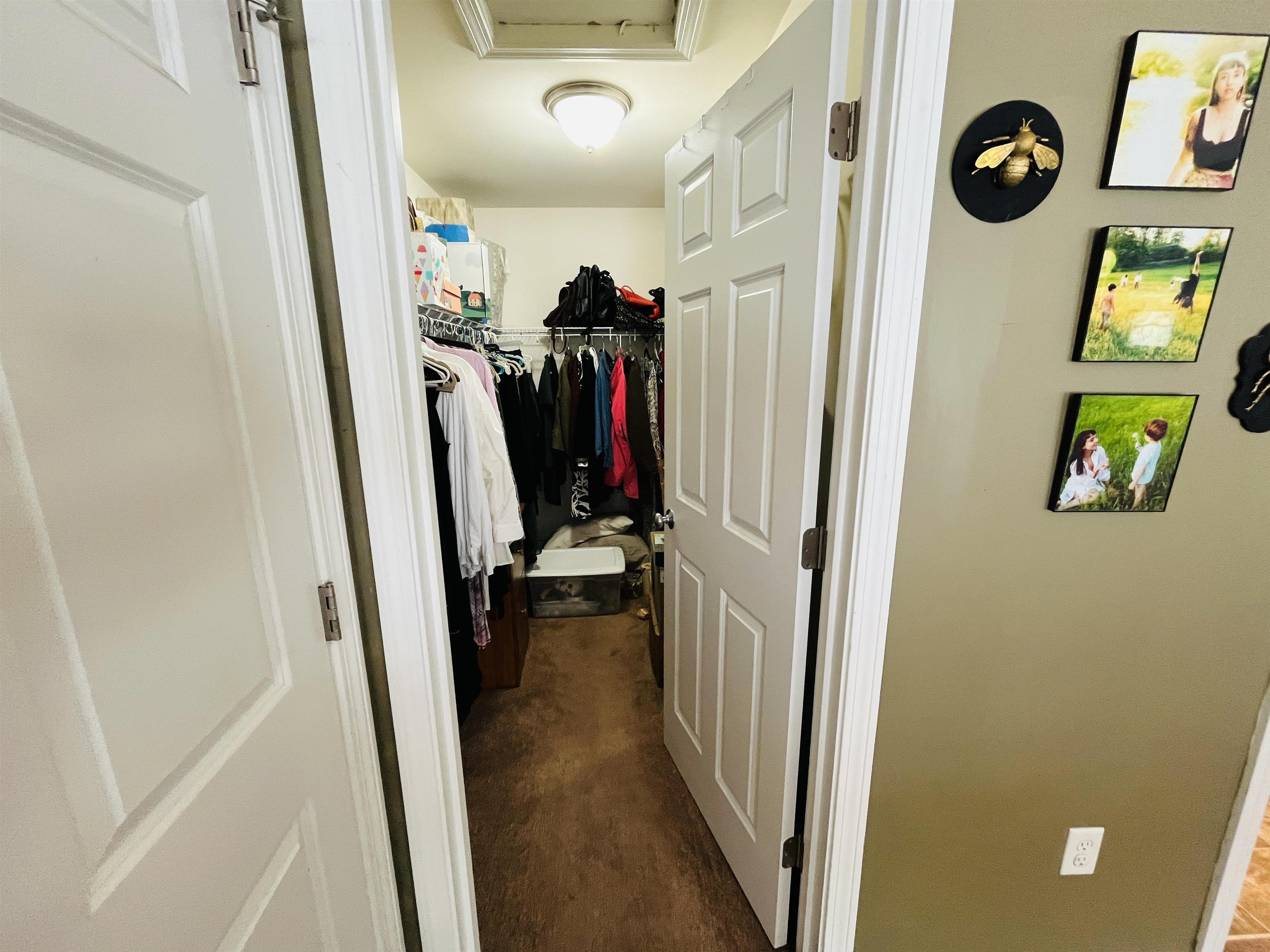 339 Ranney Road Property Photo 22