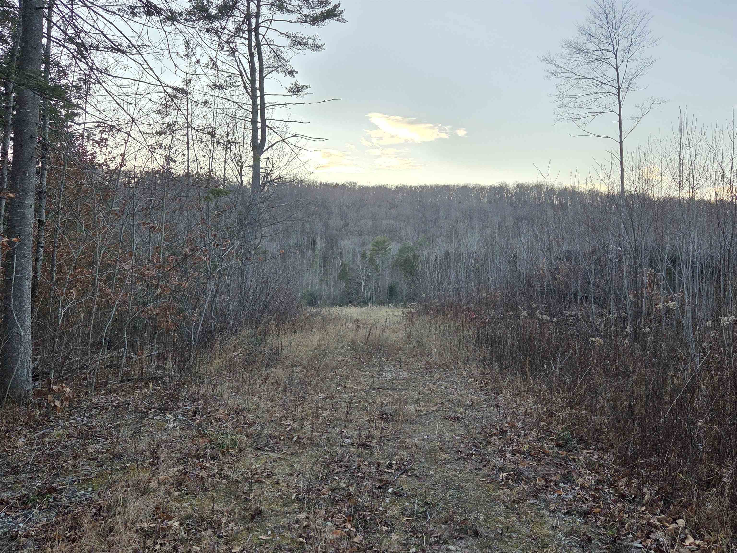 672-3 Bog Road Property Photo 2