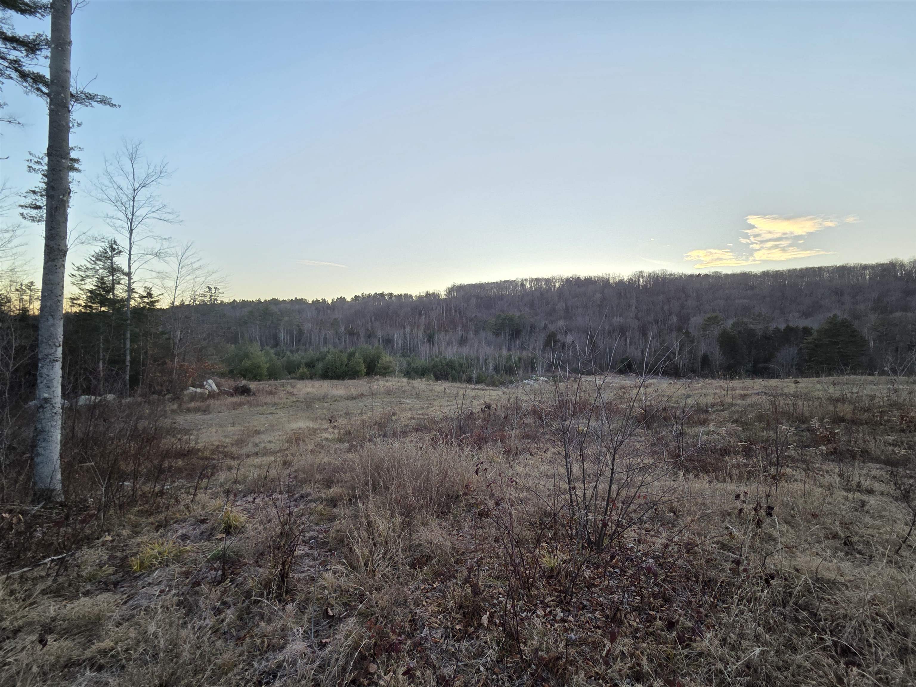 672-3 Bog Road Property Photo 5