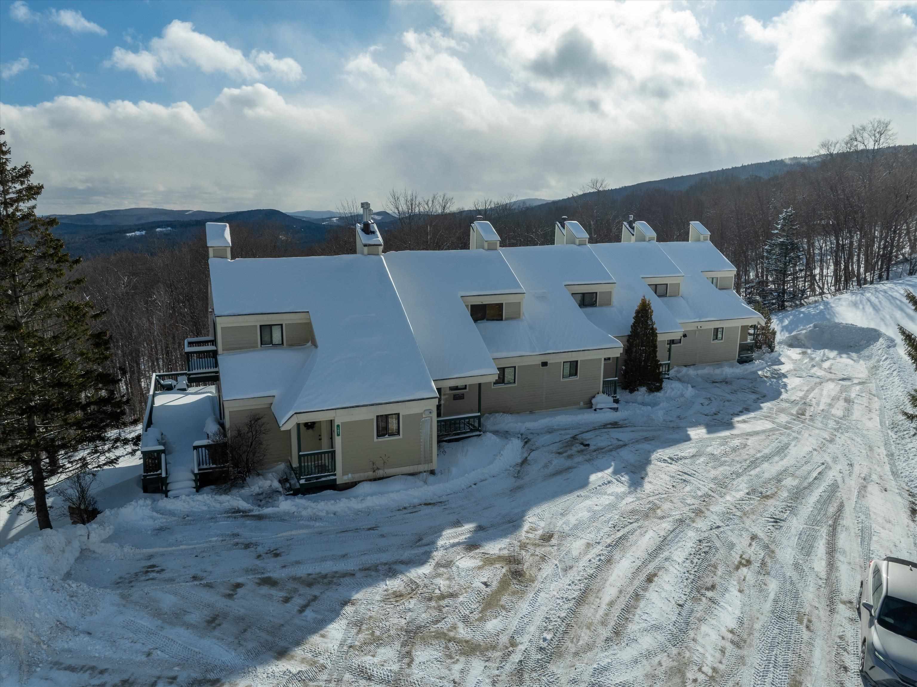 101 Okemo Trailside Extension Property Photo 28