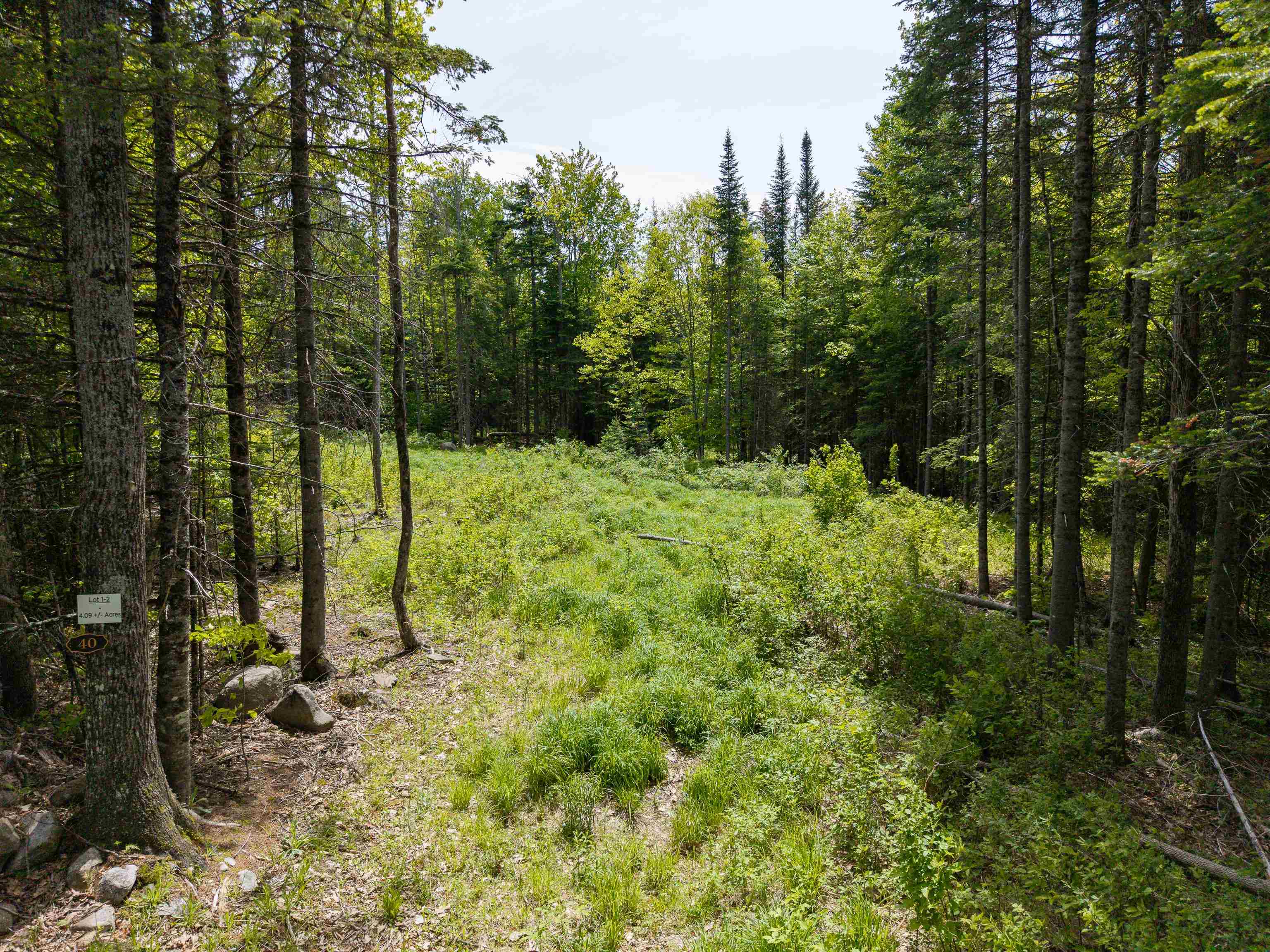40 Bear Paw Trail