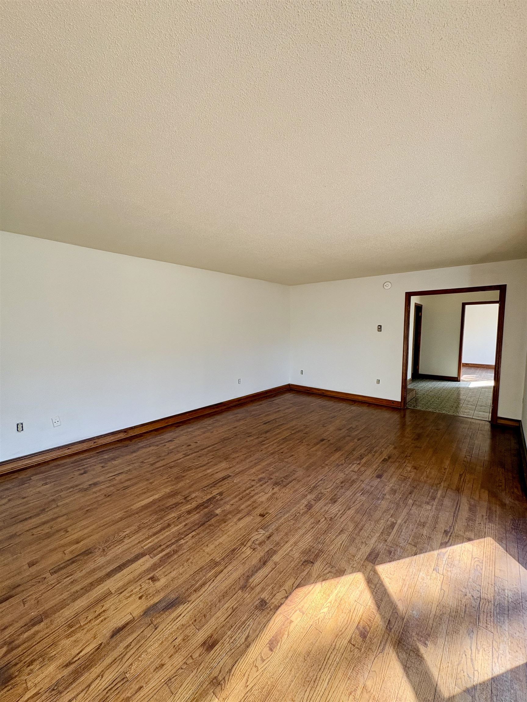 150 Swift Street Property Photo 23