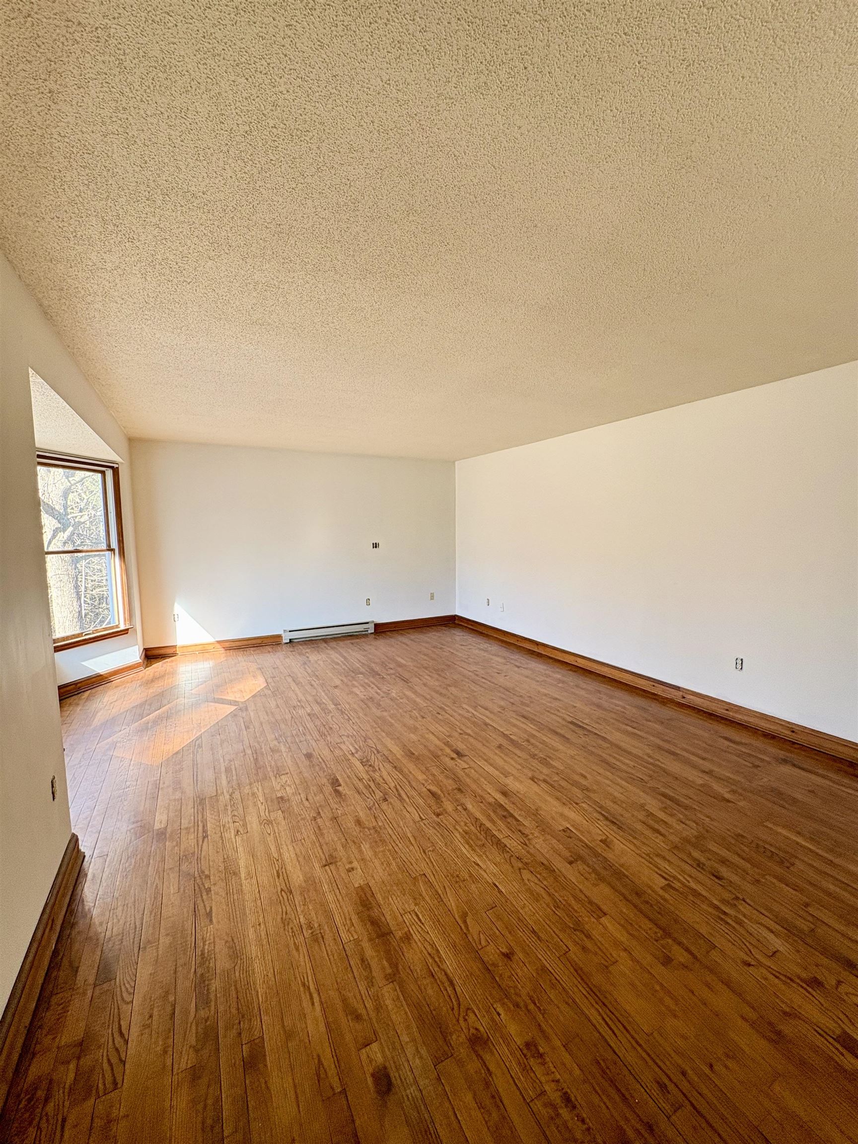 150 Swift Street Property Photo 24